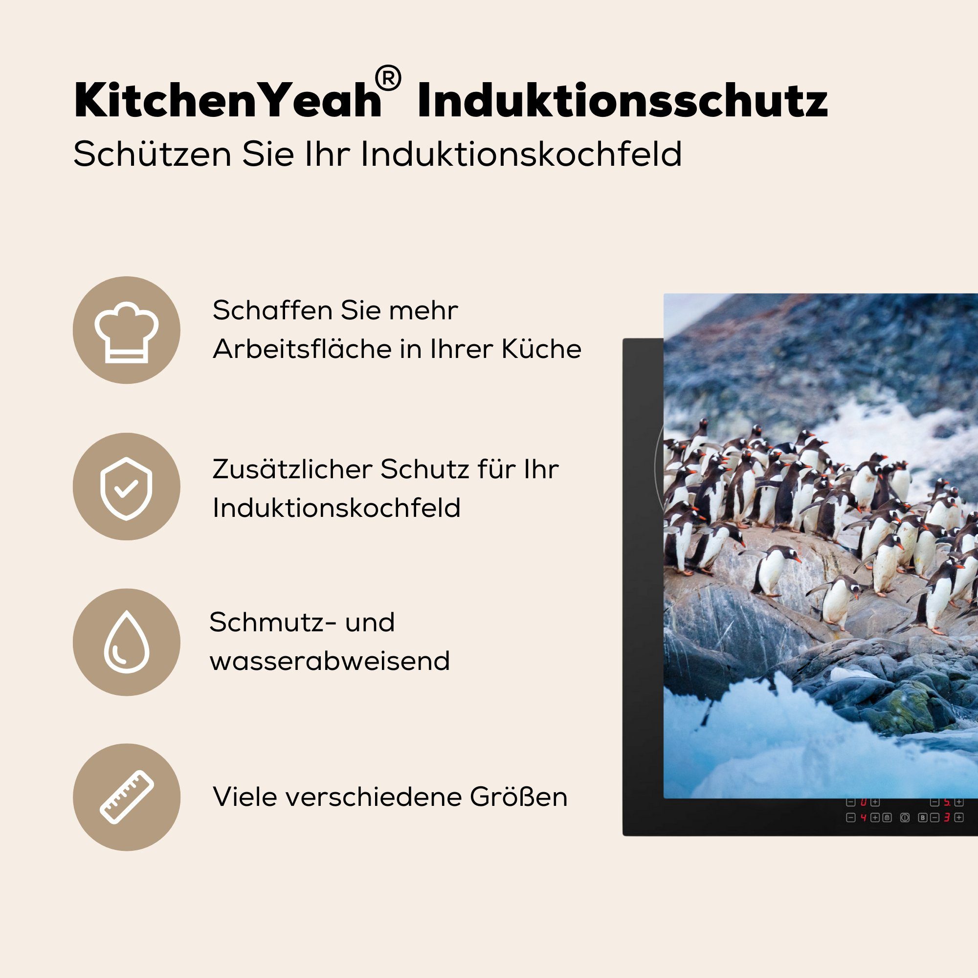 Eine von tlg), Felsen von cm, küche Wasser, Gruppe 83x51 taucht (1 einem Herdblende-/Abdeckplatte Arbeitsplatte Pinguinen Vinyl, MuchoWow Ceranfeldabdeckung, ins für