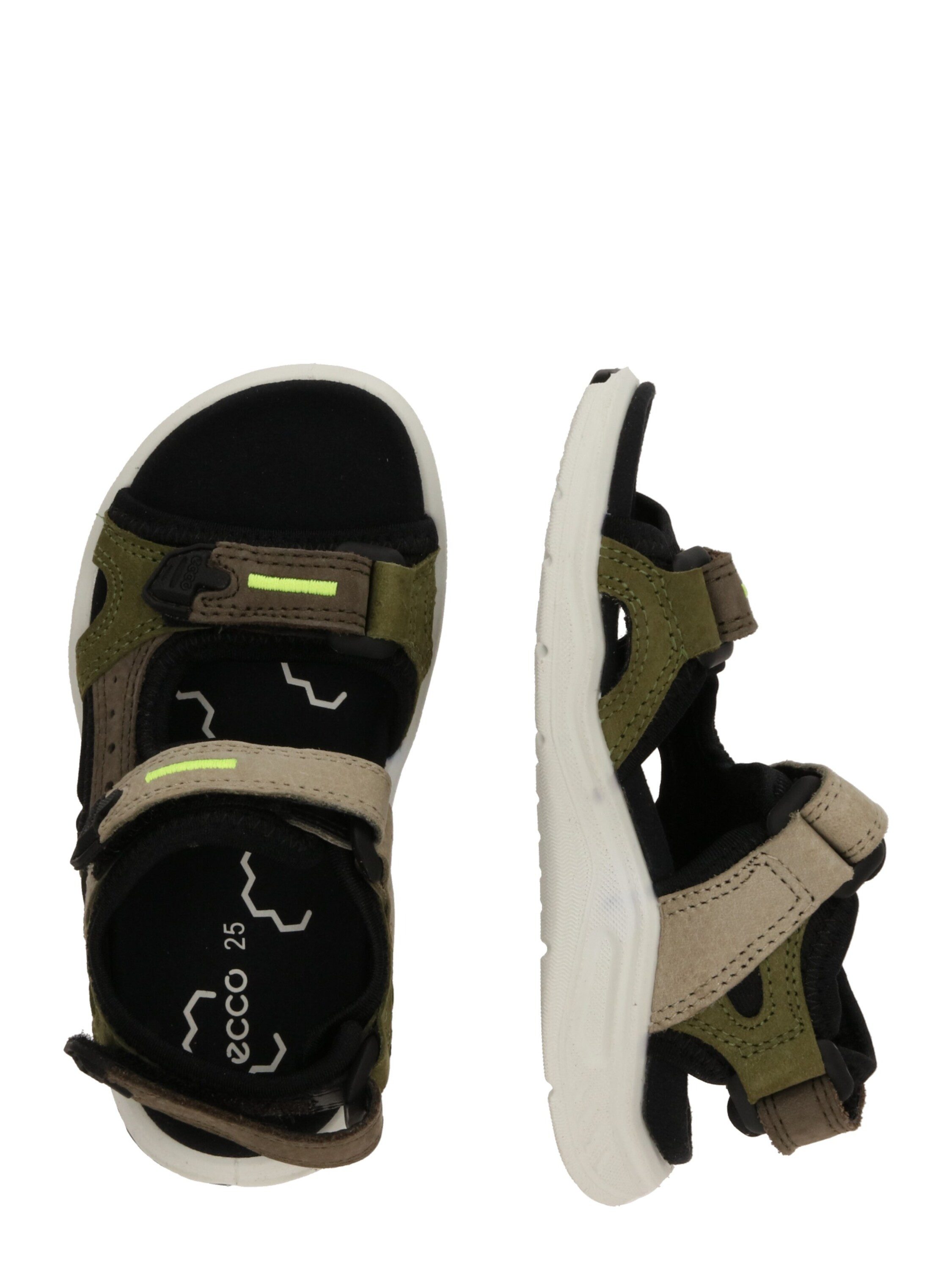 Ecco TRINSIC Slipper (1-tlg)