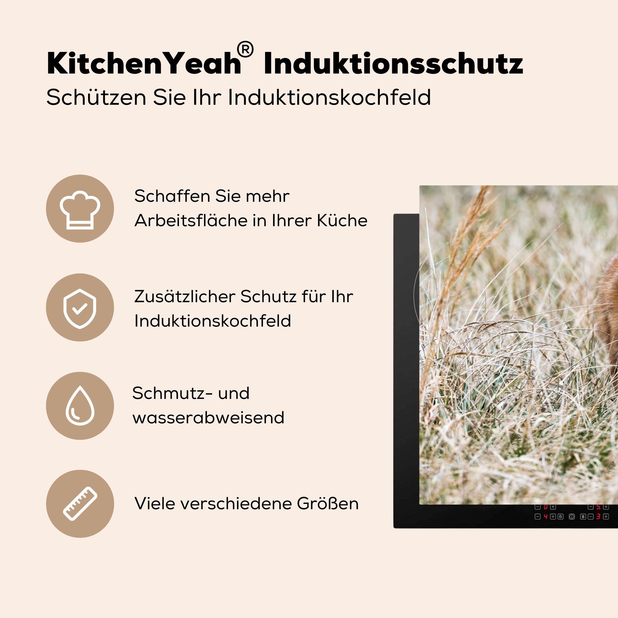 cm, Herdblende-/Abdeckplatte Vinyl, die im Fuchs 81x52 (1 Induktionskochfeld Gras, Schutz Ceranfeldabdeckung tlg), für MuchoWow küche,
