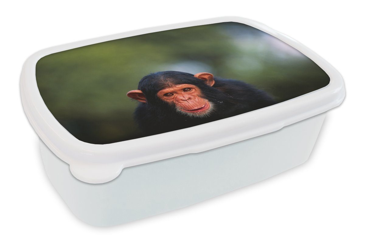 MuchoWow Lunchbox Schimpansen-Affe vor verblasstem Hintergrund, Kunststoff, (2-tlg), Brotbox für Kinder und Erwachsene, Brotdose, für Jungs und Mädchen weiß