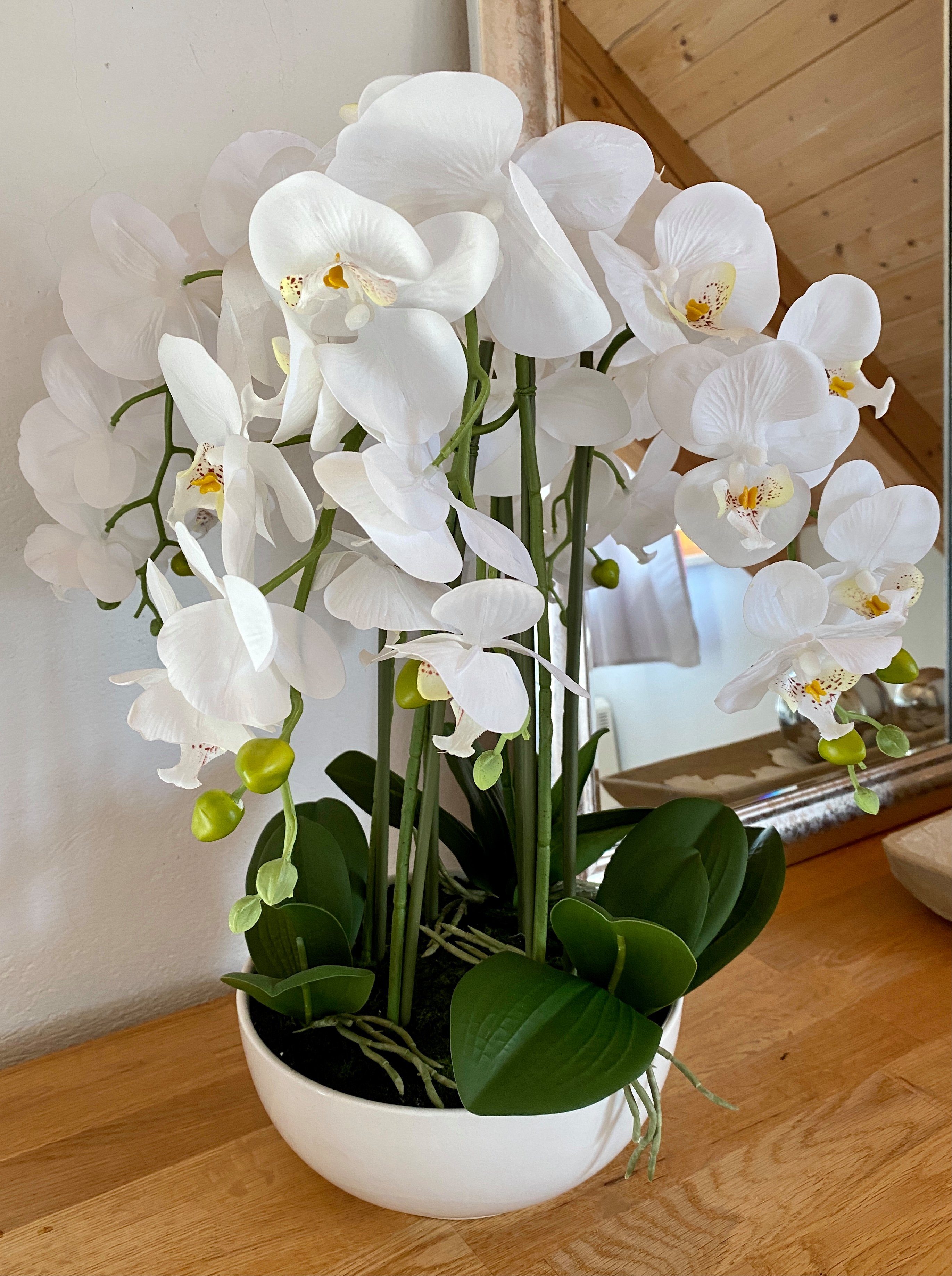 54 Orchidee Höhe Phalenopsis cm Keramik-Schale green, Kunstpflanze cm, weiß in Orchidee, Kunstorchidee 54 Creativ