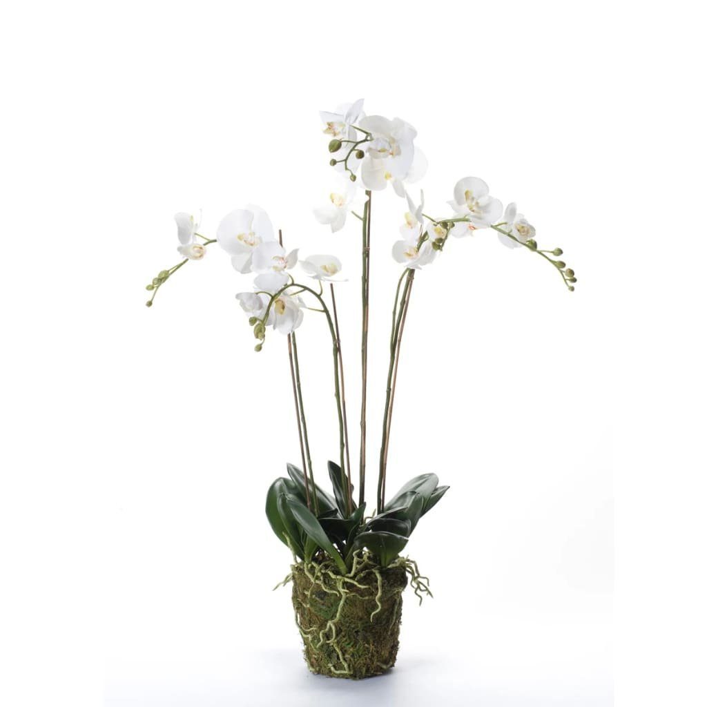 Kunstrasen Kunstpflanze Phalaenopsis mit Moos Weiß 90 cm 20.355, Emerald, Höhe: 90 mm