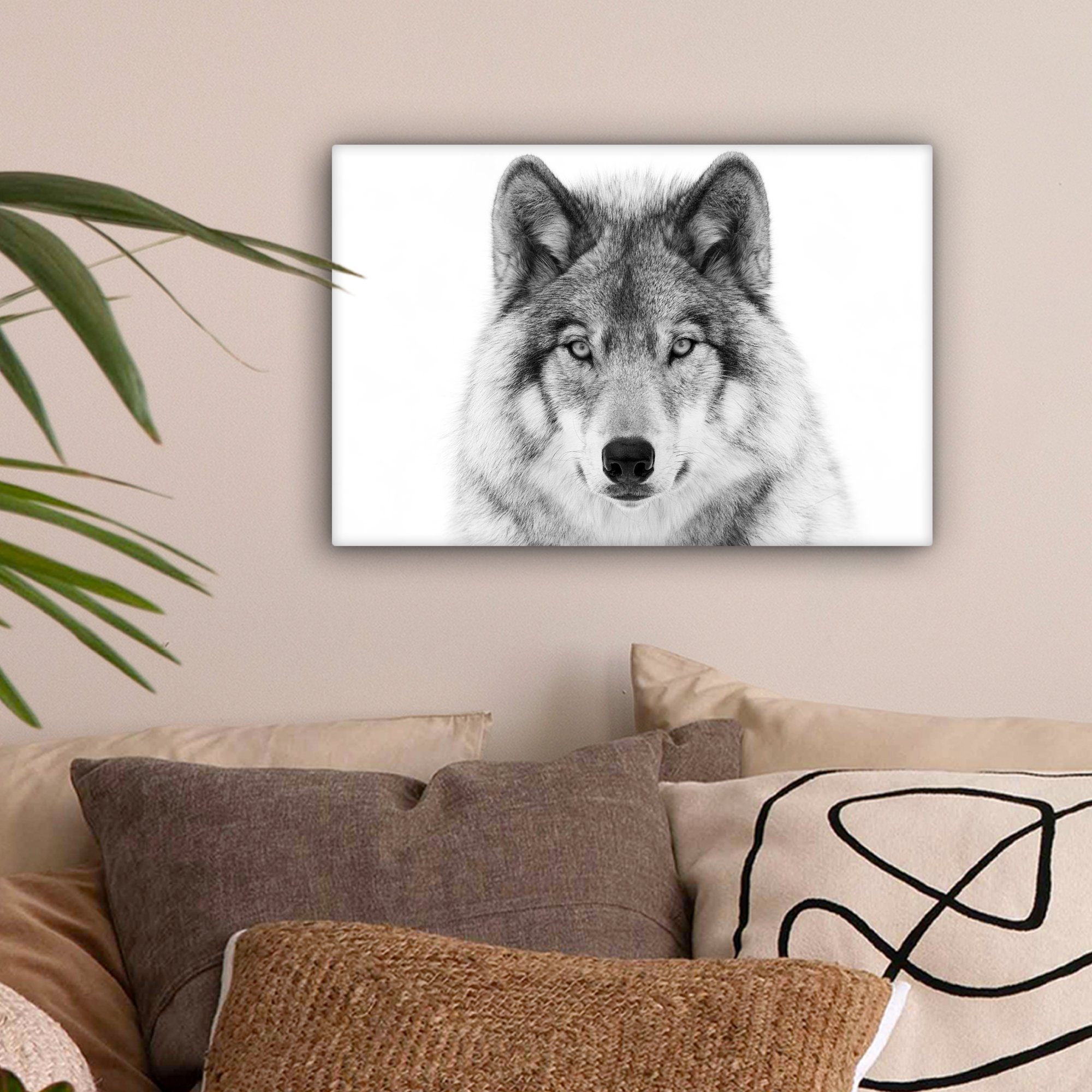 OneMillionCanvasses® Leinwandbild Wolf - Tiere - Porträt - Weiß, Fotodruck günstig online kaufen