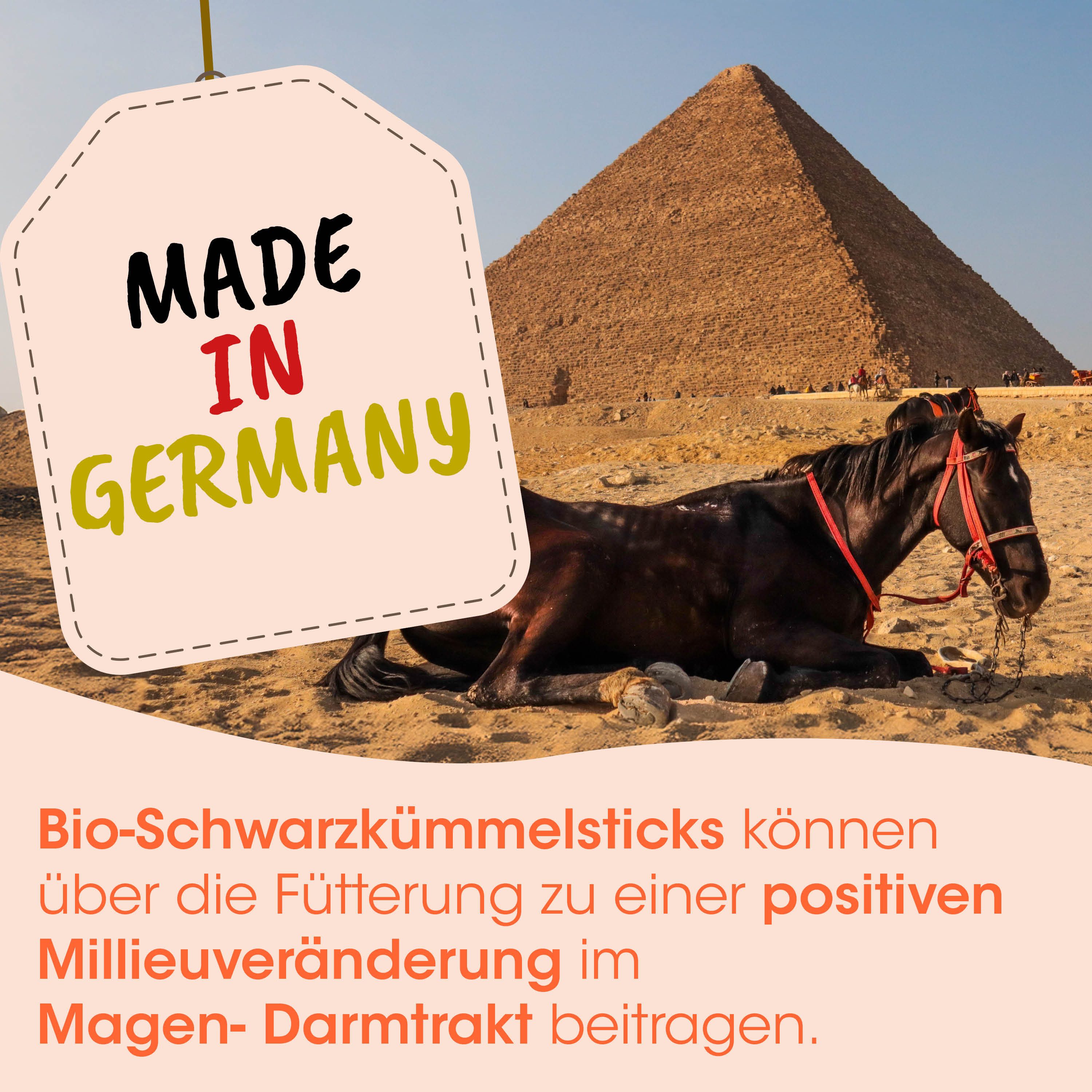 cdVet Singulares Bio-Schwarzkümmelsticks, Snack für: Pferde, Hunde, hoher Restölgehalt aufgrund besonderen Kaltpressverfahren