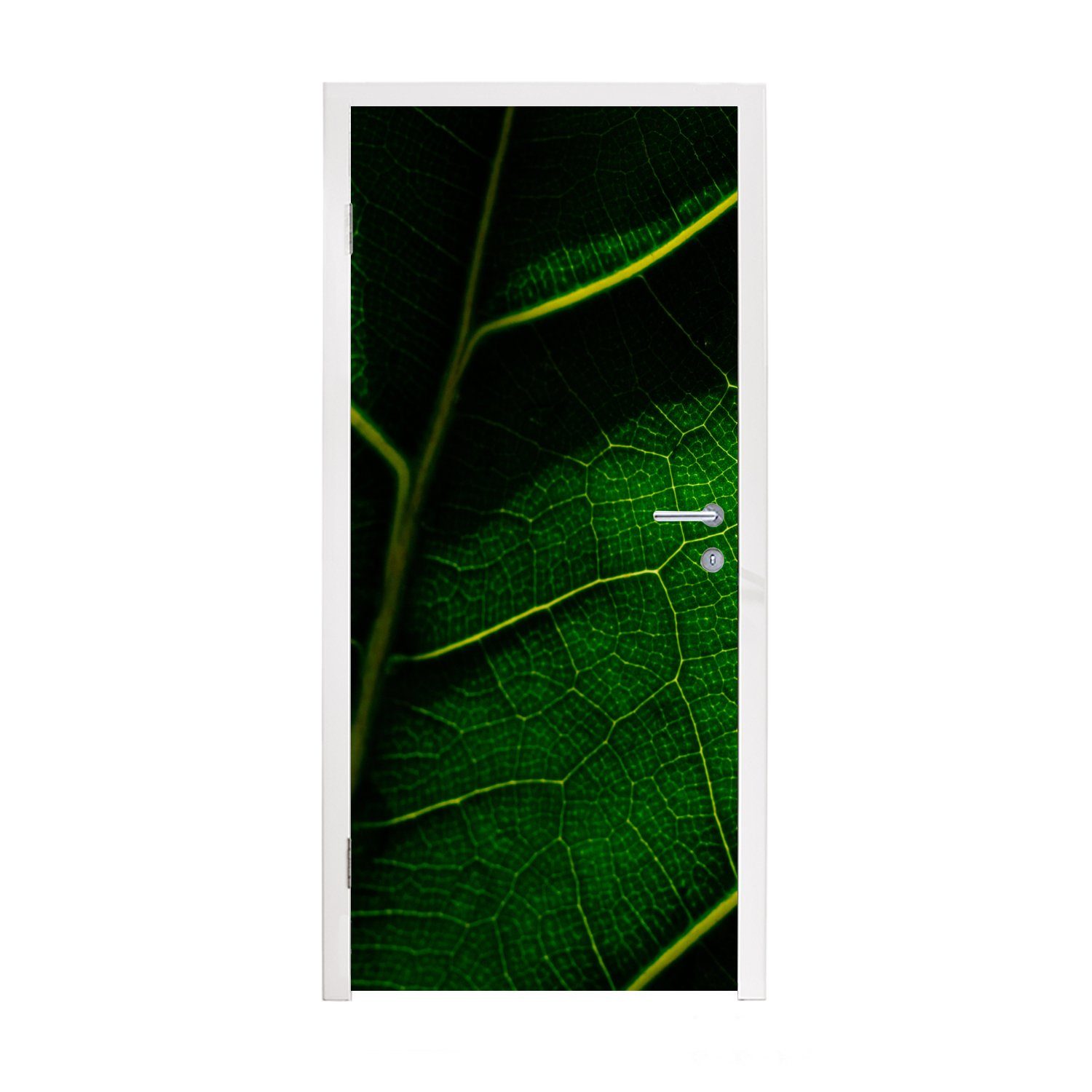 MuchoWow Türtapete Schatten über einem grünen Blatt, Matt, bedruckt, (1 St), Fototapete für Tür, Türaufkleber, 75x205 cm
