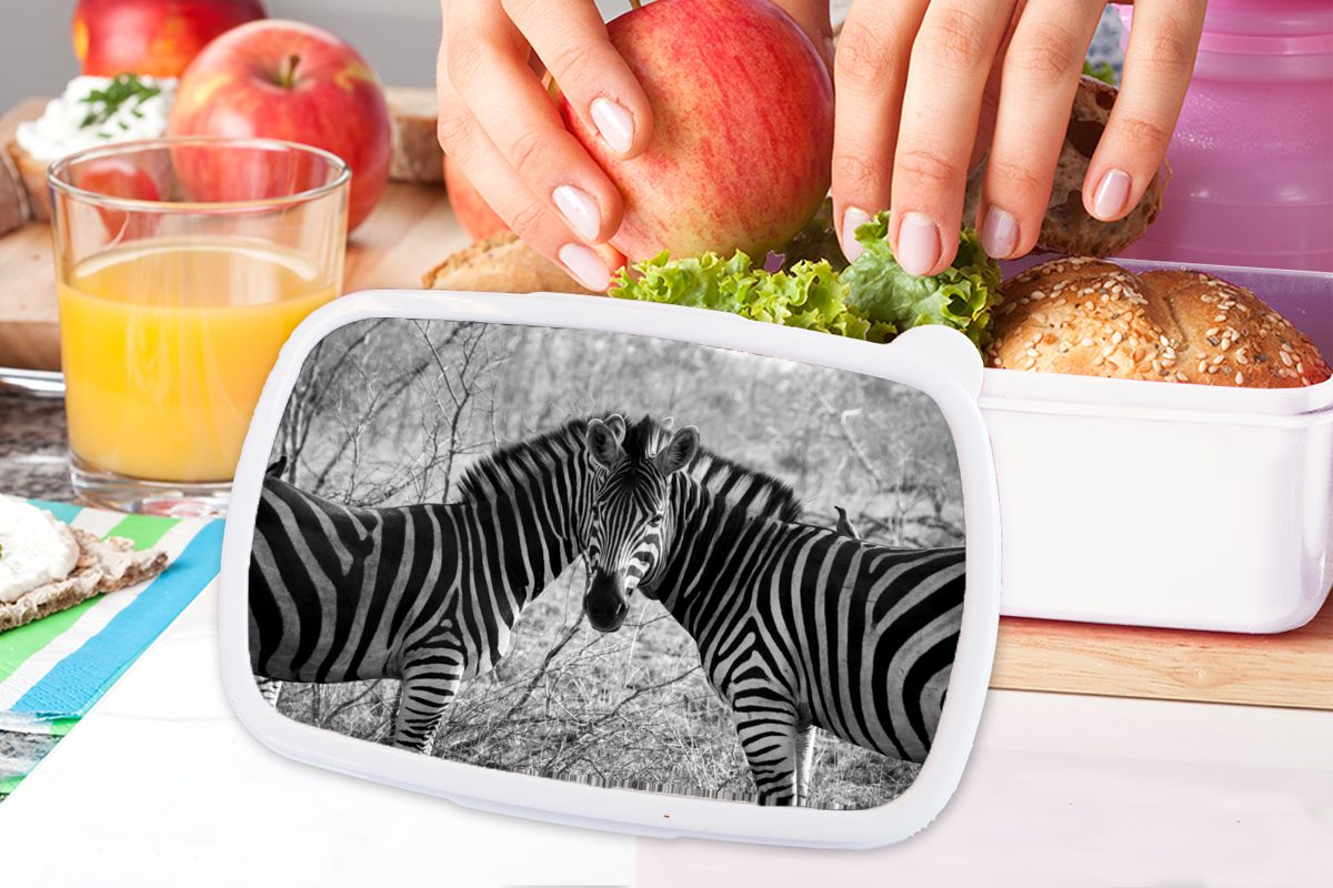 Zebras, Kinder Zwei Mädchen Brotbox und für und Erwachsene, Brotdose, für Kunststoff, MuchoWow Lunchbox weiß (2-tlg), Jungs