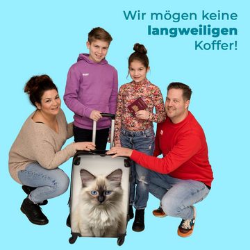 NoBoringSuitcases.com© Koffer Katze - Tiere - Ragdoll - Katze 67x43x25cm, 4 Rollen, Mittelgroßer Koffer für Erwachsene, Reisekoffer