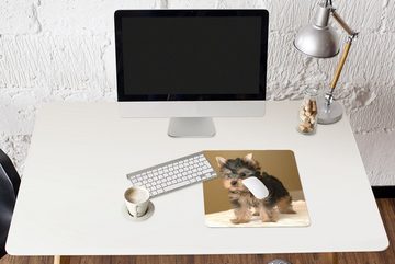 MuchoWow Gaming Mauspad Porträt eines Yorkshire Terriers (1-St), Mousepad mit Rutschfester Unterseite, Gaming, 40x40 cm, XXL, Großes