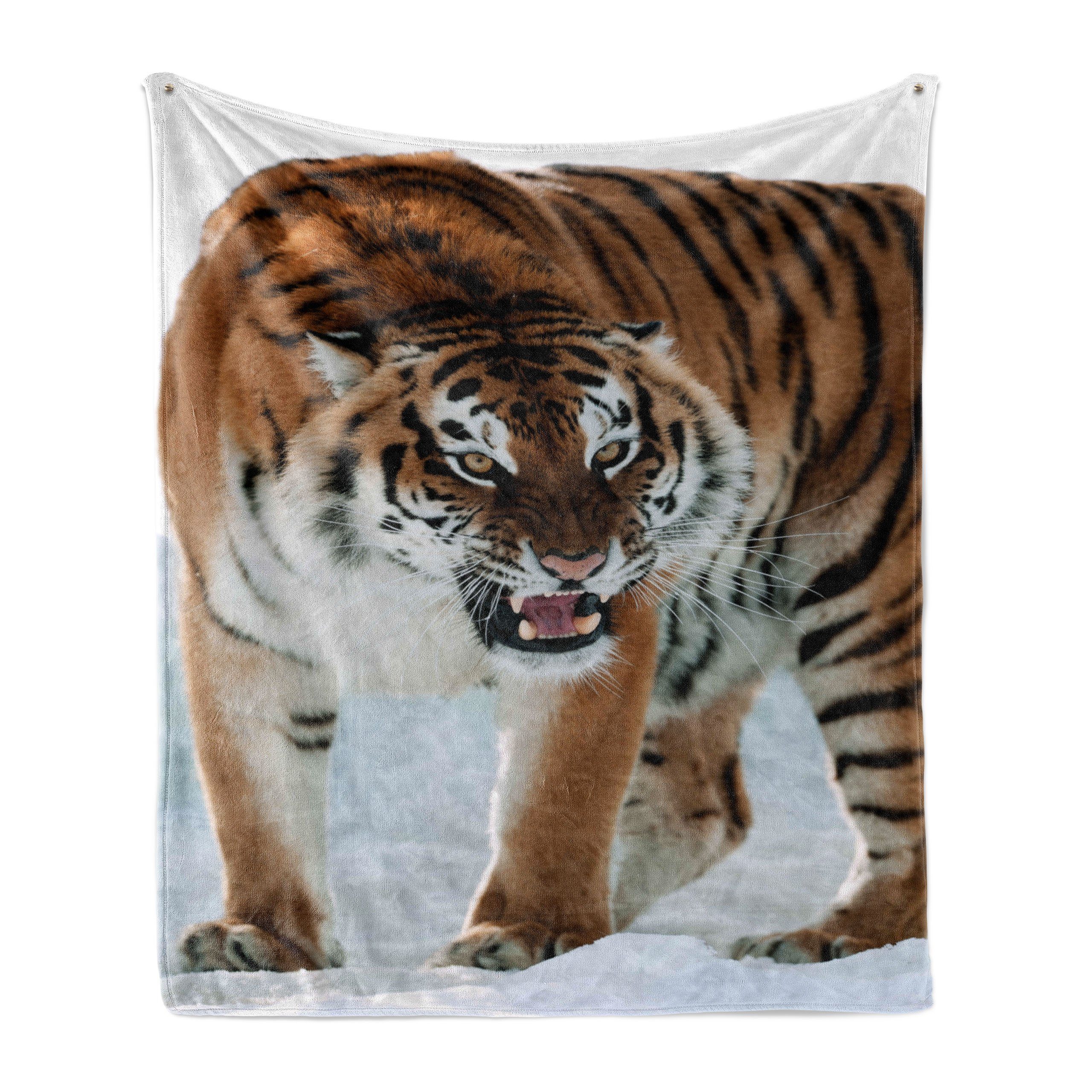Wohndecke Gemütlicher Plüsch für den Innen- und Außenbereich, Abakuhaus, Tiger Siberian Predator Feline