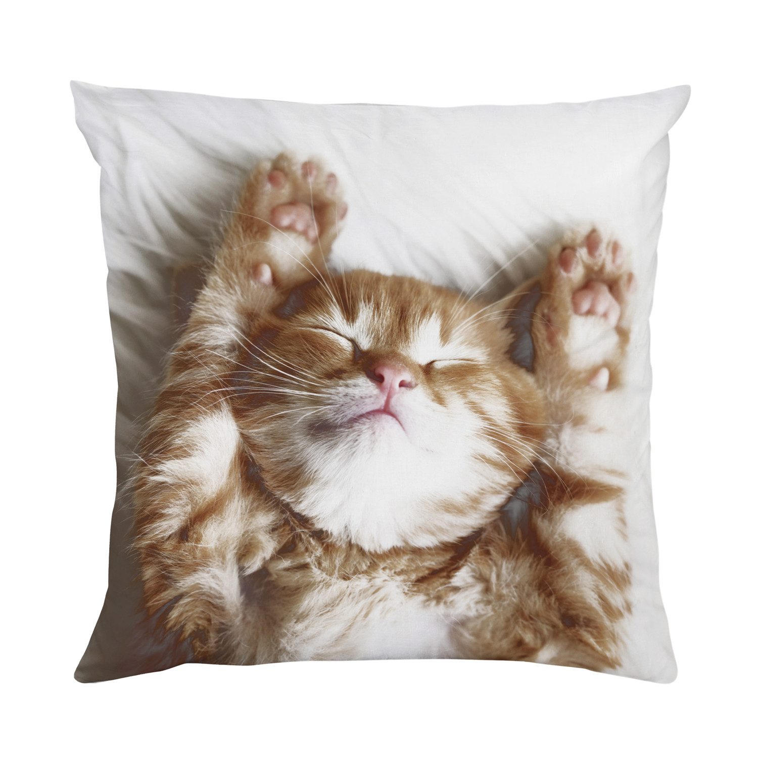 queence Dekokissen Katzenbaby, Kissenhülle mit HD Premium Druck, geruchsneu günstig online kaufen