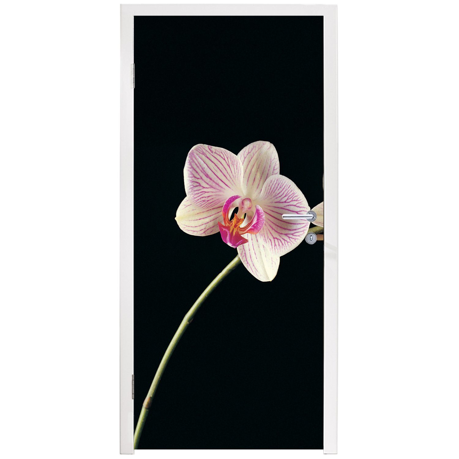 Matt, bedruckt, (1 Knöpfe, MuchoWow Türtapete Türaufkleber, Rosa - Fototapete - cm St), Schwarz Orchidee 75x205 - Blumen - Tür, für