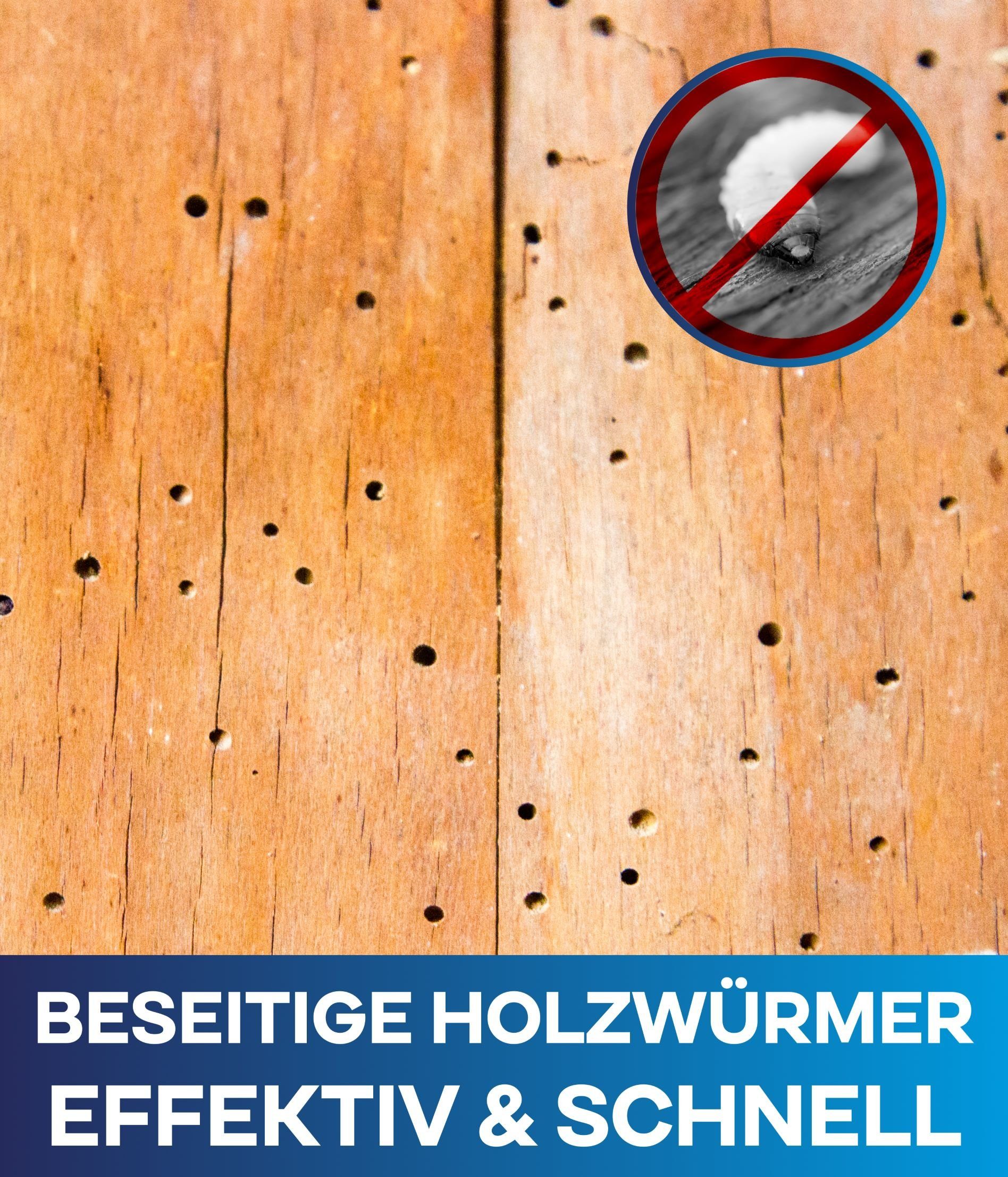 Holzwurm-Ex Holzwurm-Ex Holzschutz Holzwurmtod Hausbock, Holzwurmbekämpfung plid Schnelltrocknend Holzwurmmittel