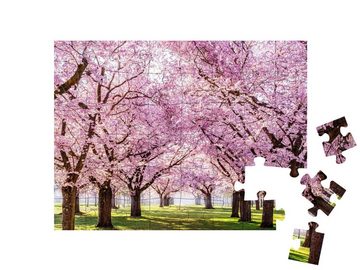 puzzleYOU Puzzle Sakura-Kirschblüten-Allee, wunderschöner Park, 48 Puzzleteile, puzzleYOU-Kollektionen Bäume, Wald & Bäume, Kirschblüten