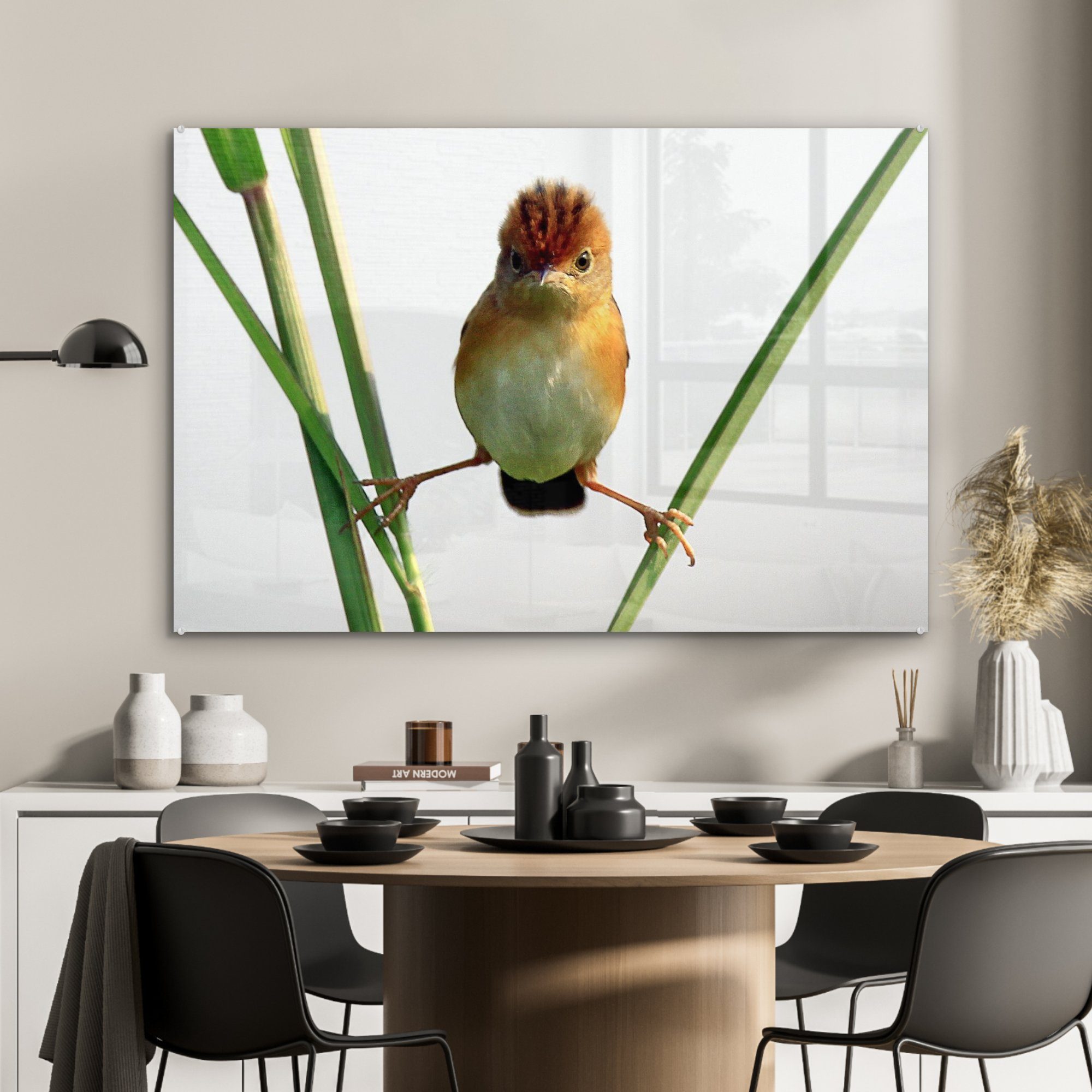 MuchoWow Acrylglasbild Vogel - St), Natur (1 Wohnzimmer Schlafzimmer Tiere, & - Acrylglasbilder