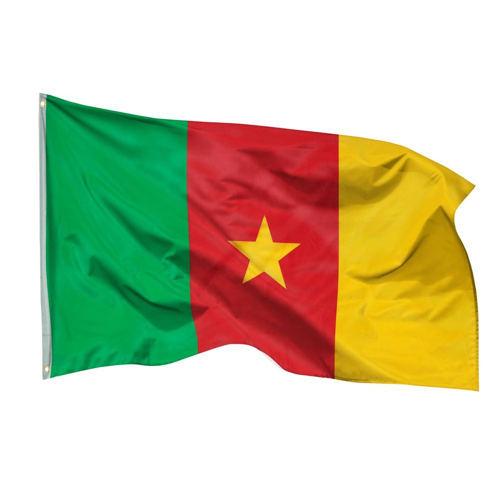 Flagge Kamerun Flagge 90 x 150 cm Kamerunfahne Fahne Afrika