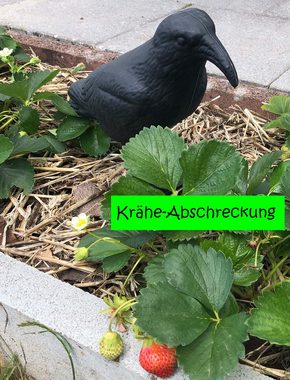 Lifetime Garden Vogel-Schreck Taubenschreck "Krähe", Stück 1-tlg., Taubenschreck, Vogelabwehr Taubenschreck Rabe Garten Beet Krähe