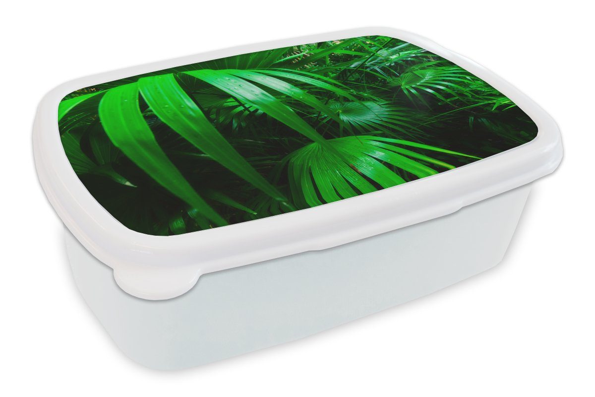 MuchoWow Lunchbox Palmenblätter im Dschungel, Kunststoff, (2-tlg), Brotbox für Kinder und Erwachsene, Brotdose, für Jungs und Mädchen weiß | Lunchboxen