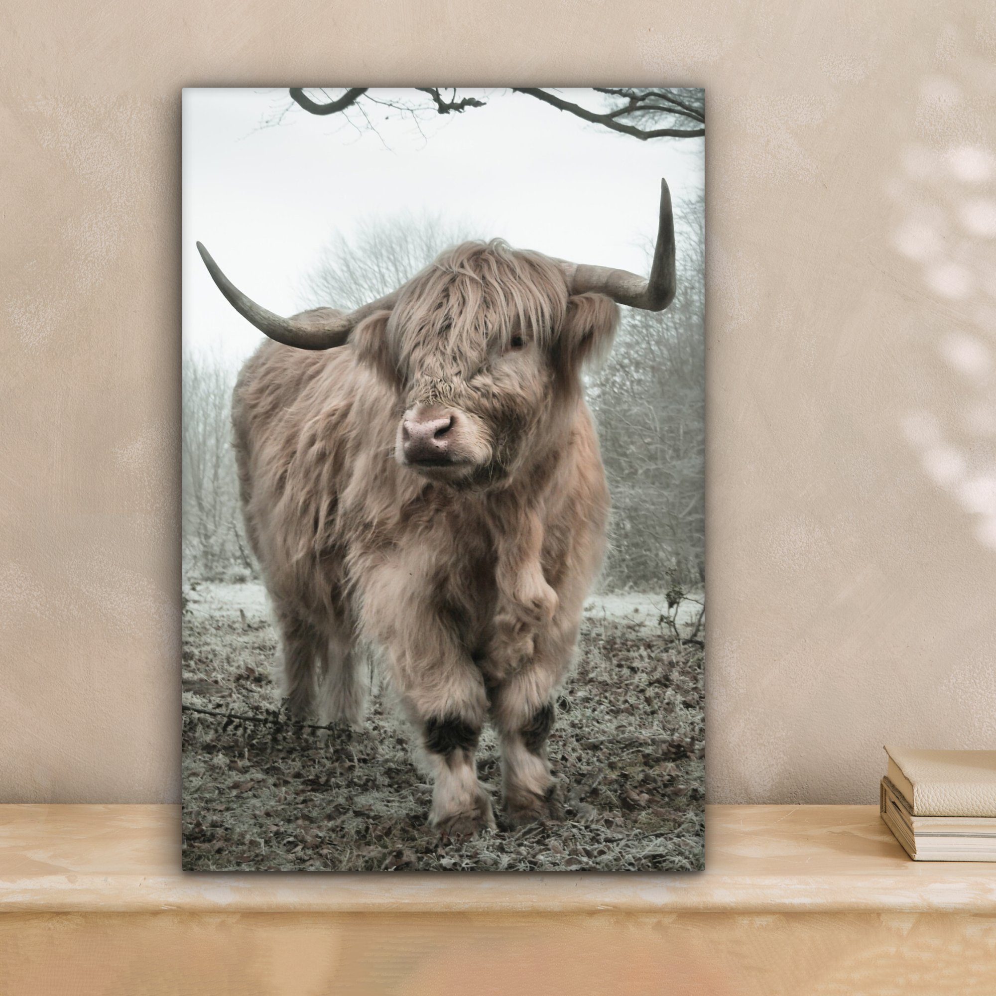 OneMillionCanvasses® Leinwandbild Schottische Highlander - Natur günstig online kaufen