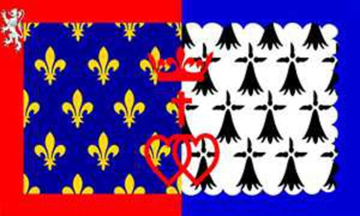 80 de la flaggenmeer Loire Flagge g/m² Pays