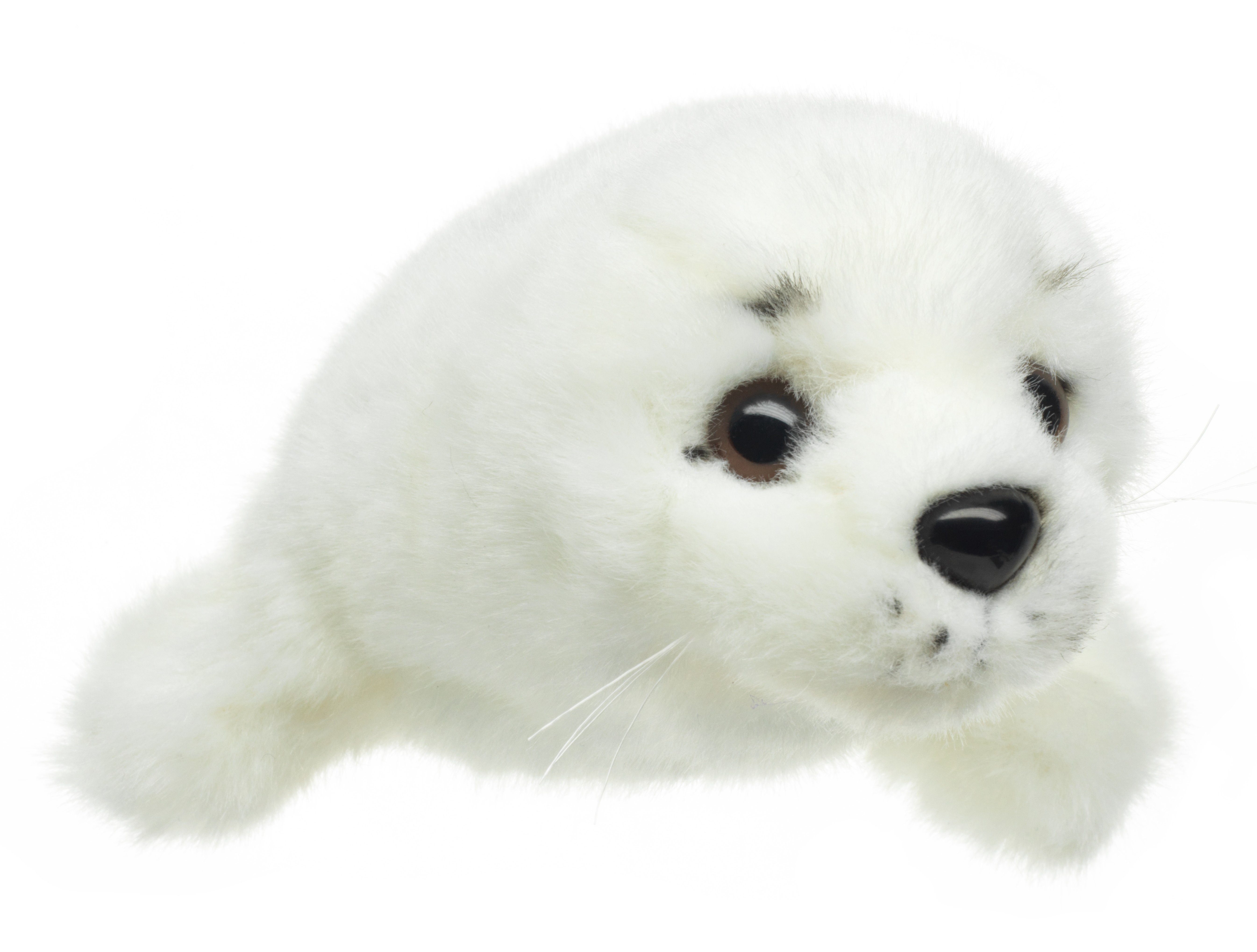 Plüschtier, Füllmaterial 100 - zu verschiedene recyceltes Uni-Toys Seehund Kuscheltier weiß Plüsch-Robbe - Größen % -
