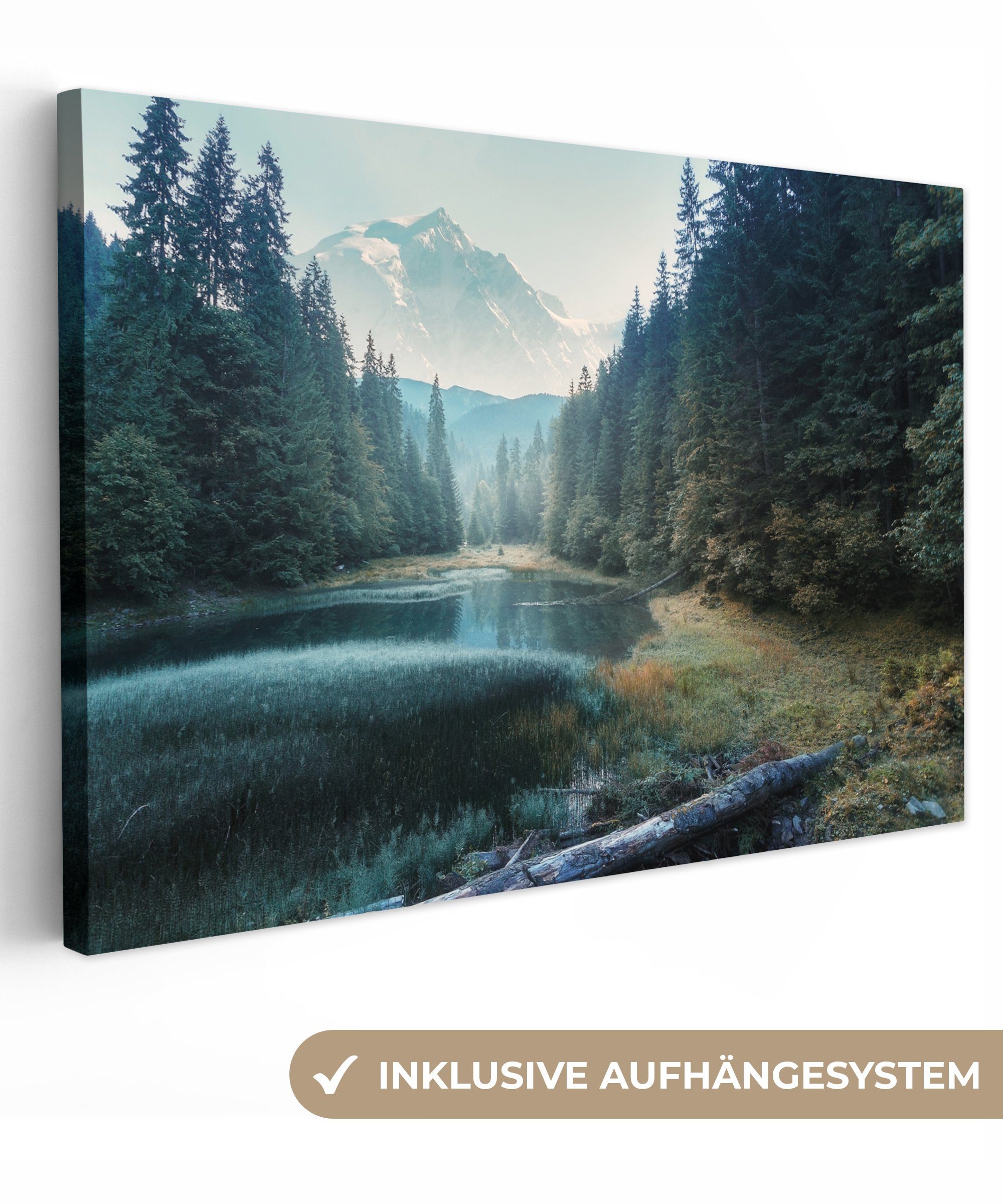 OneMillionCanvasses® Leinwandbild Wald - Gras - günstig online kaufen