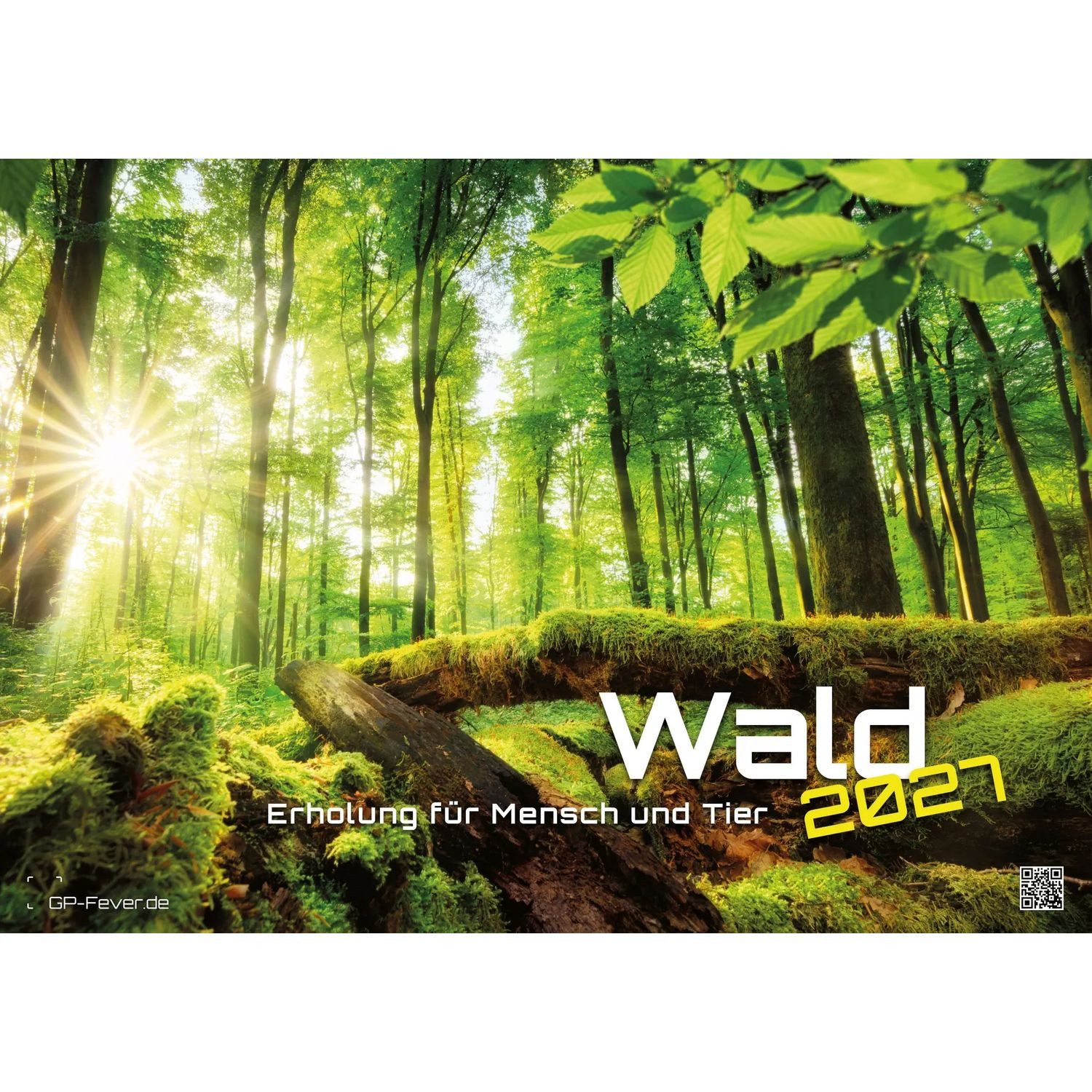 Wandkalender Wald - Erholung für Mensch und Tier - 2027 - Kalender DIN A2
