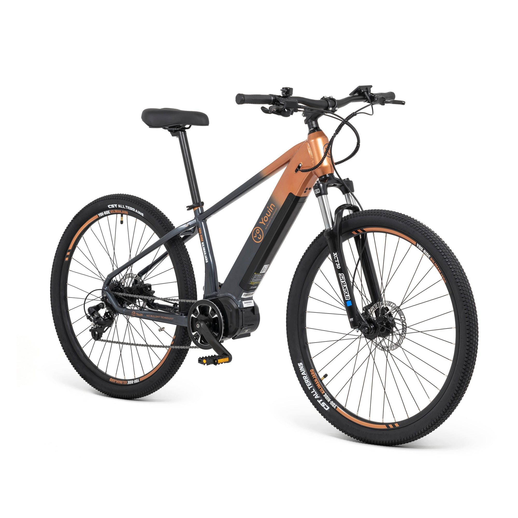 E-Bike Mountainbike 29 Zoll Youin 36V 540-Wh-Akku MTB-Fahrrad, SHIMANO 8 Gang