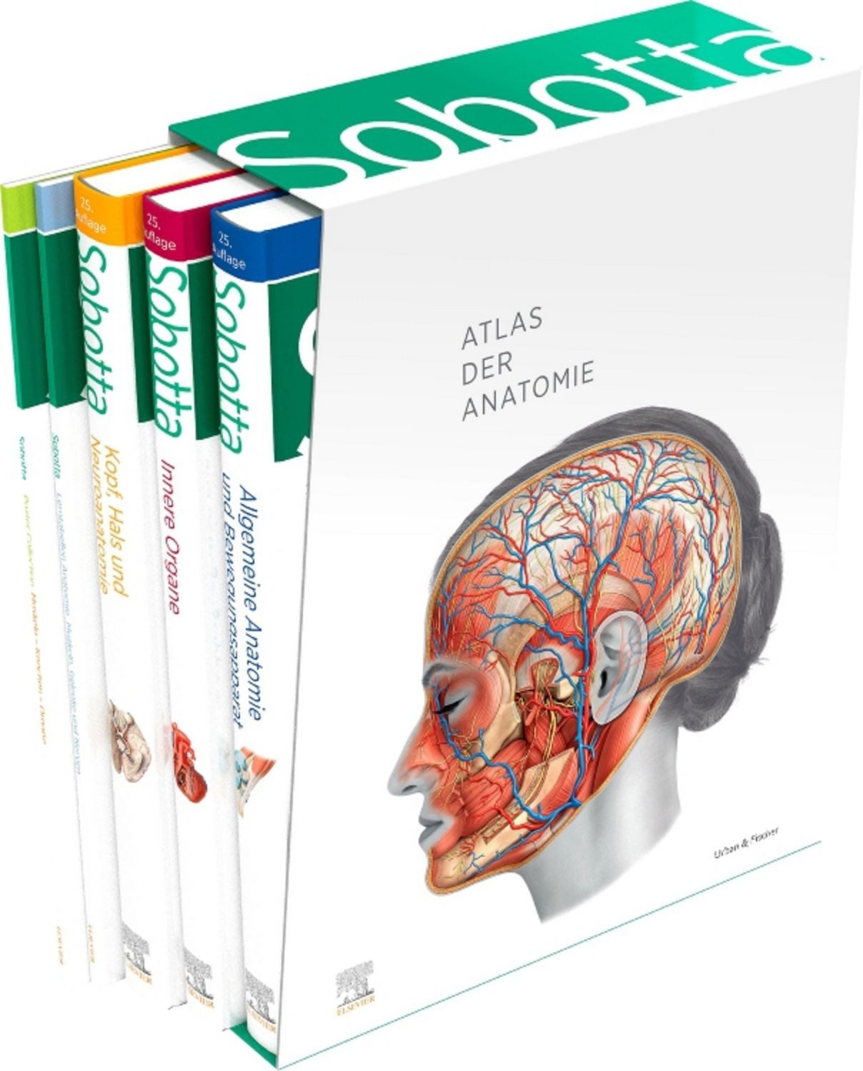 Sobotta Atlas der Anatomie, 3 Bände + Lerntabellen + Poster Collection / diverse