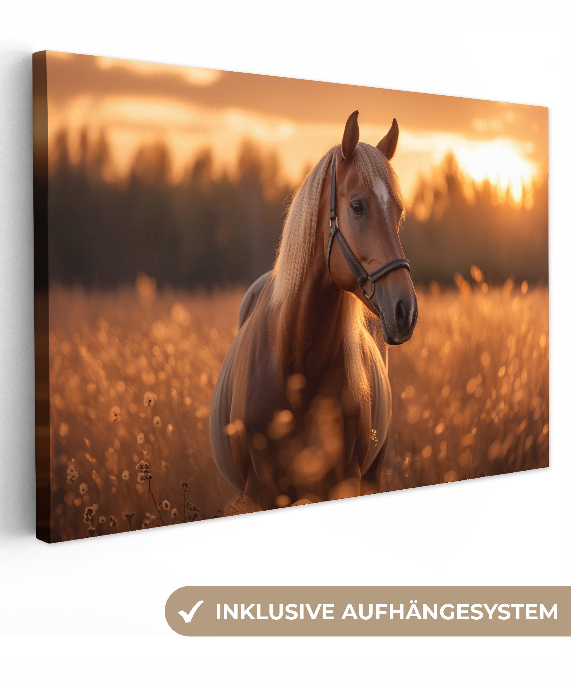 OneMillionCanvasses® Leinwandbild Pferd - Natur - Tier - Braun - Tierporträ günstig online kaufen