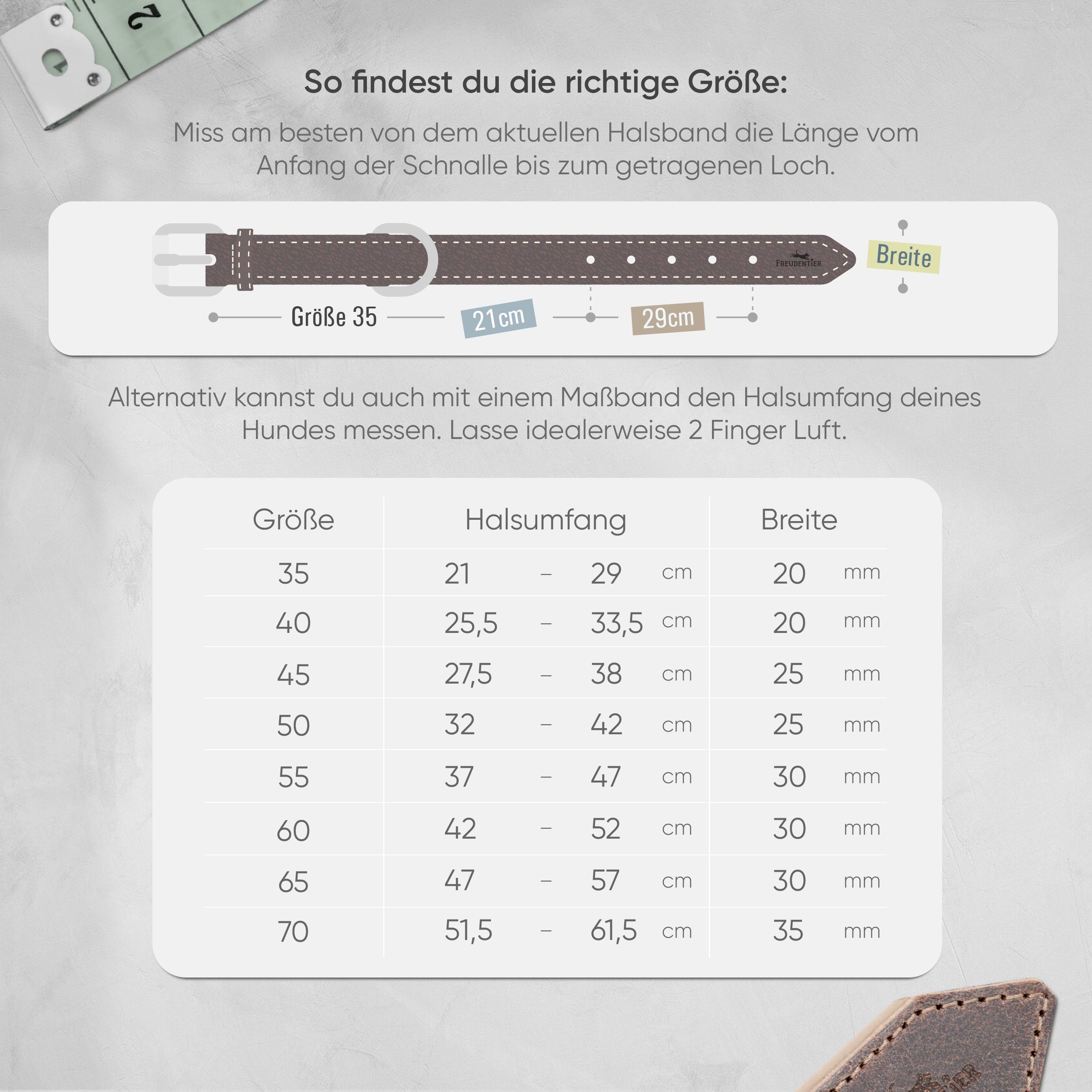 Freudentier Hunde-Halsband Hundehalsband Leder, Hundehalsband für große Hunde & kleine Hunde