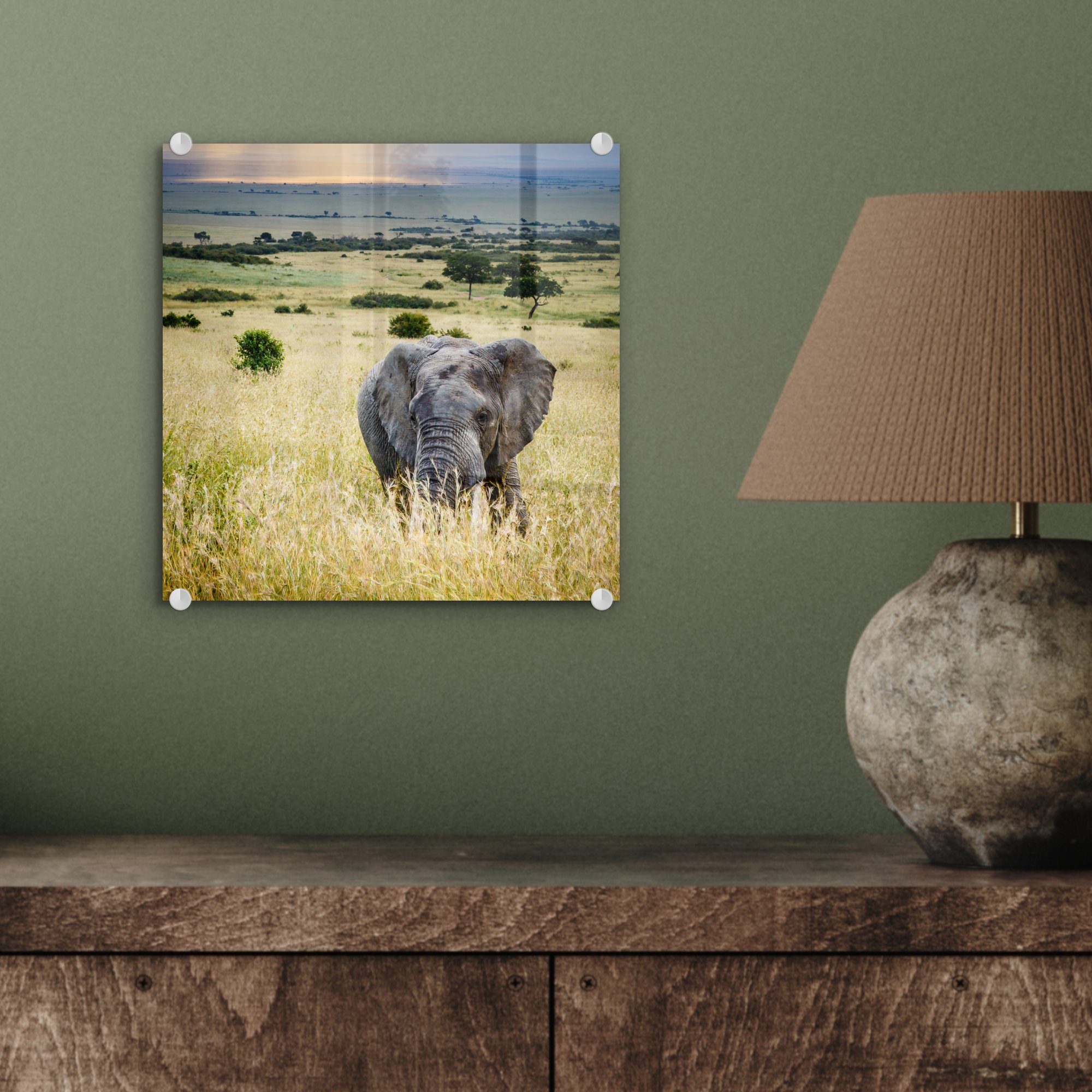 MuchoWow Acrylglasbild - Sonne Elefant - (1 Glas Wanddekoration - Glasbilder auf - auf Landschaft St), Wandbild Bilder - - - Glas Foto Tiere Natur