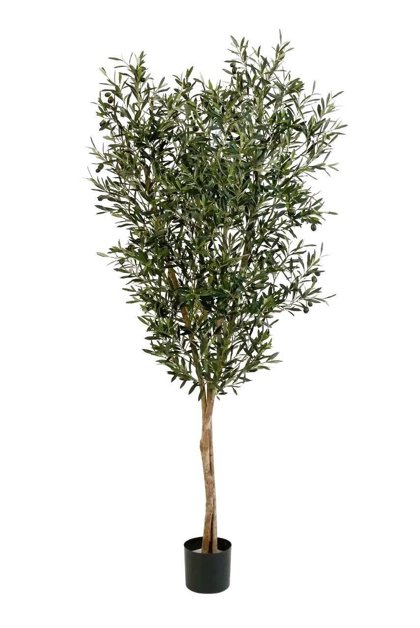 Kunstbaum Künstliche Olivenbaum - Ilona, 180 cm, aplanta, Höhe 180 cm