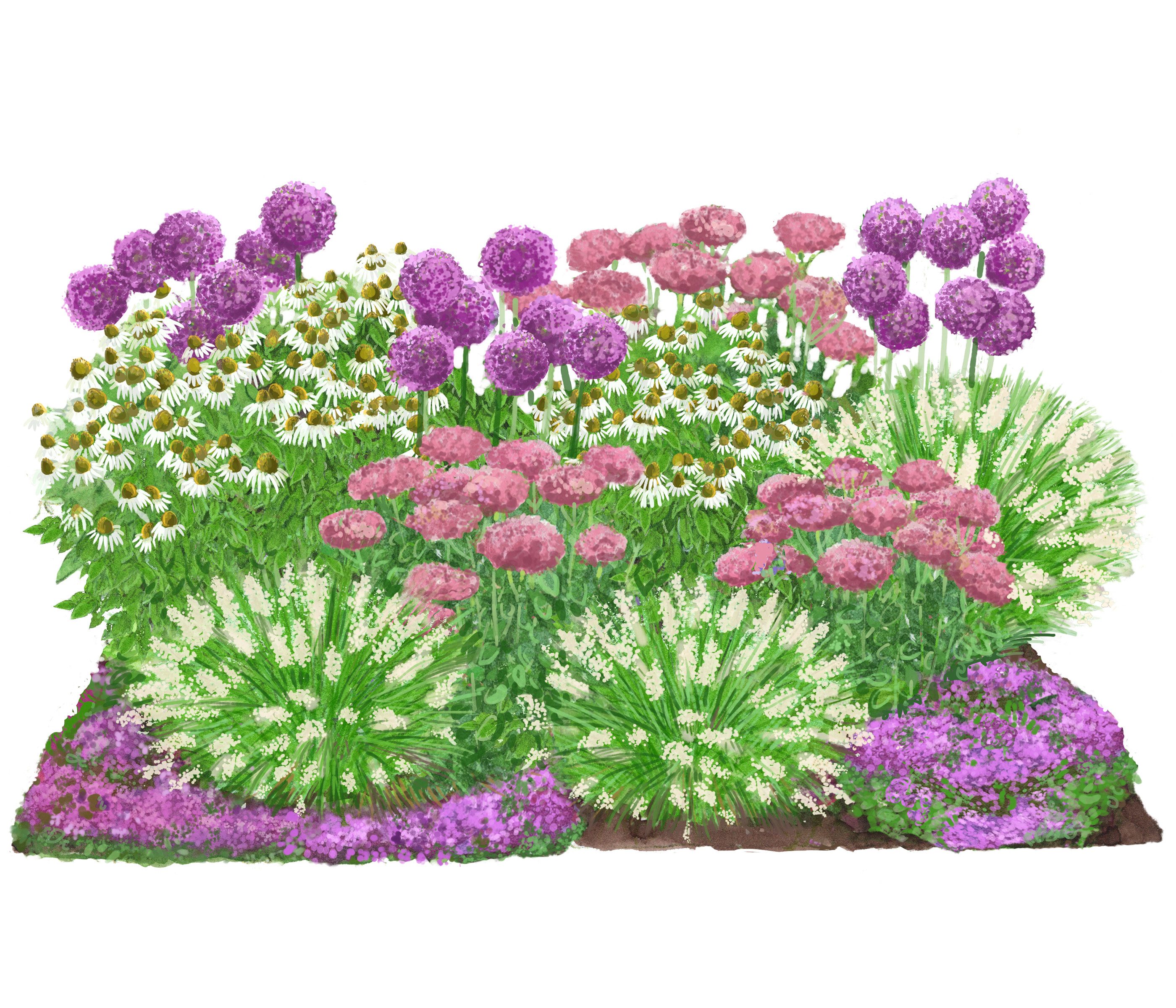 Dehner Staude Bio Stauden-Set Sonnenzeit, je 5-20 cm, Ø Topf je 9 cm, exklusive Landlust Kollektion mit 18 Pflanzen für sonnige Standorte