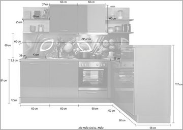Express Küchen Winkelküche Jena, vormontiert, mit Soft-Close-Funktion, Stellbreite 245 x 175 cm