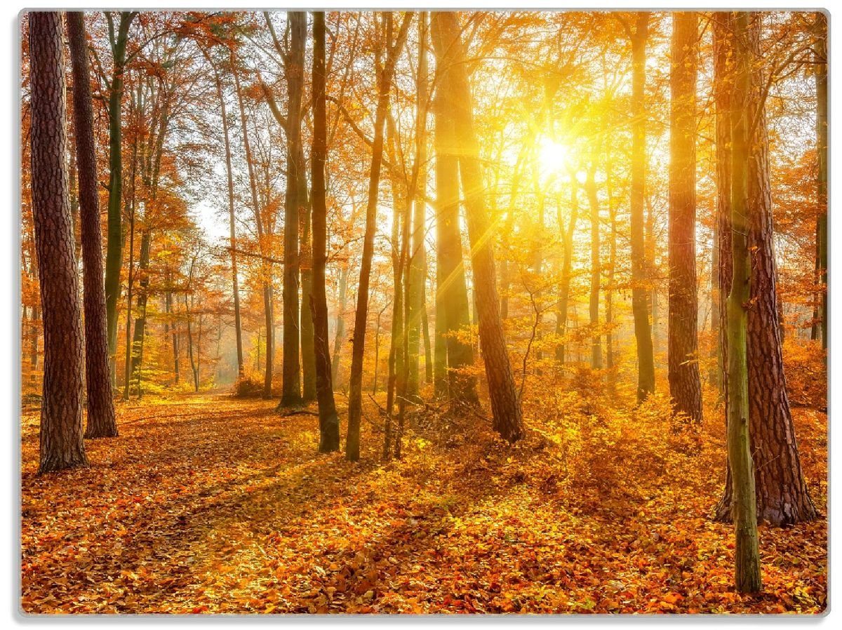 Wallario Schneidebrett Sonnenuntergang im herbstlichen Wald, ESG-Sicherheitsglas, (inkl. rutschfester Gummifüße 4mm, 1-St), 30x40cm