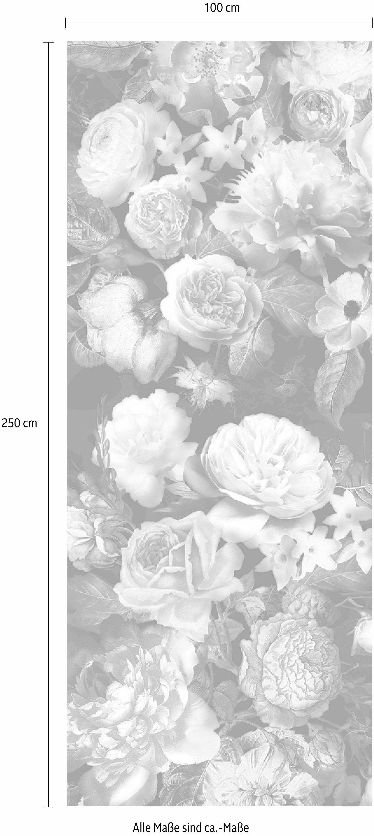 Komar Vliestapete Victoria Black Panel, (1 St), (Breite x Höhe), Vliestapete, 100 cm Bahnbreite