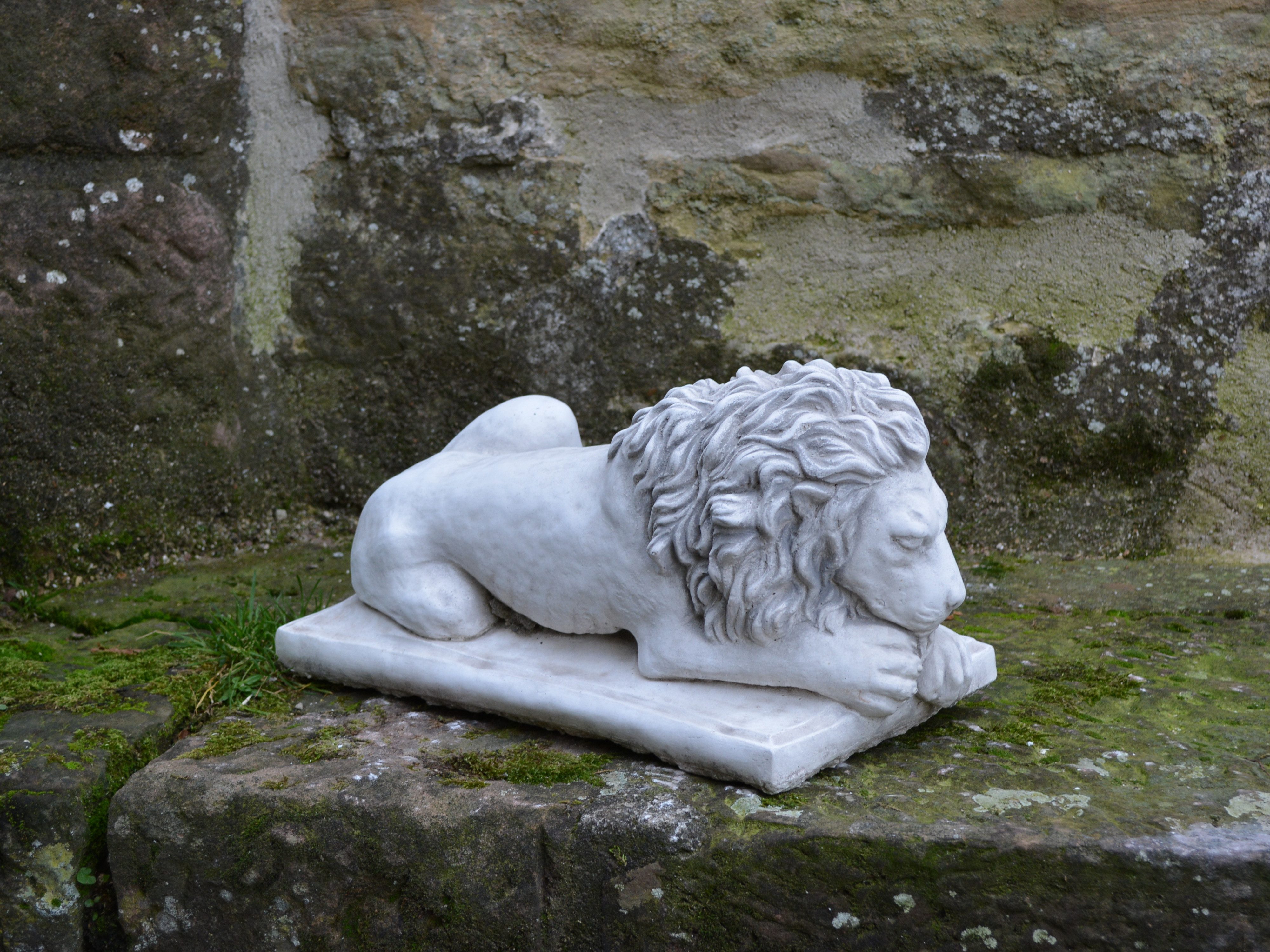 gartendekoparadies.de Gartenfigur Liegender Löwe – Kopf geradeaus gerichtet, H. 20 cm, 18 kg, Frostsicher