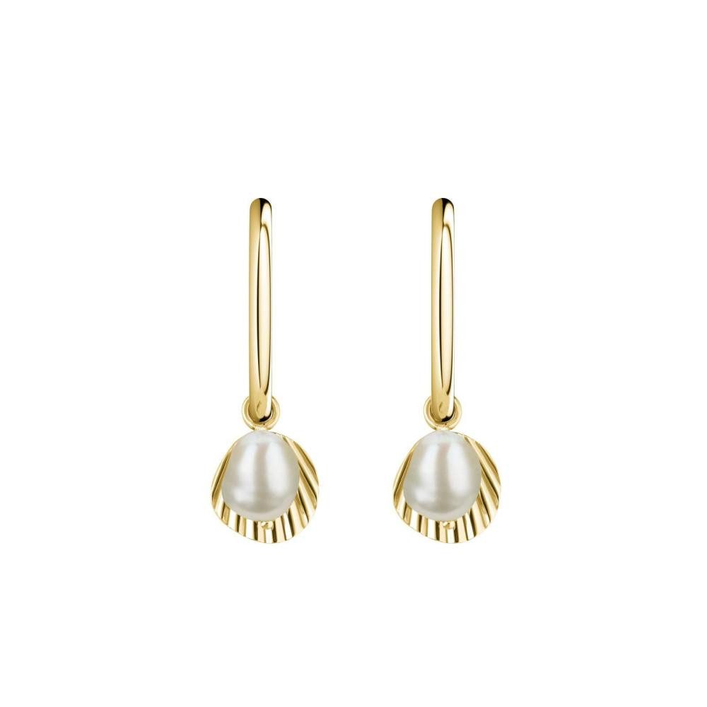 ROSEFIELD Ohrring-Set ROSEFIELD Серьги Creole Muschel mit Perle Gold