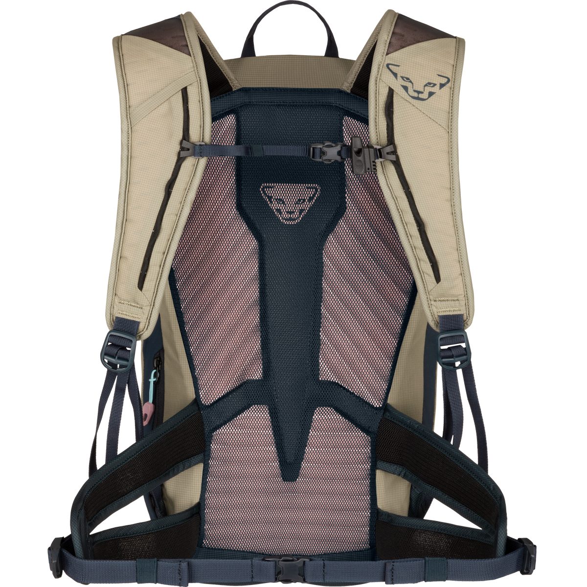 Dynafit Rucksack Transalper 22 Rucksack Damen - Dynafit