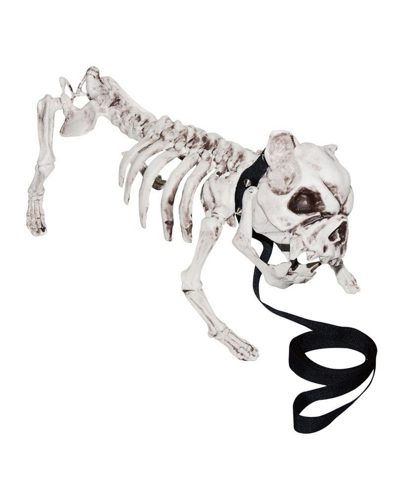 Horror-Shop Dekofigur Bulldogge Hunde Skelett als Halloween Deko