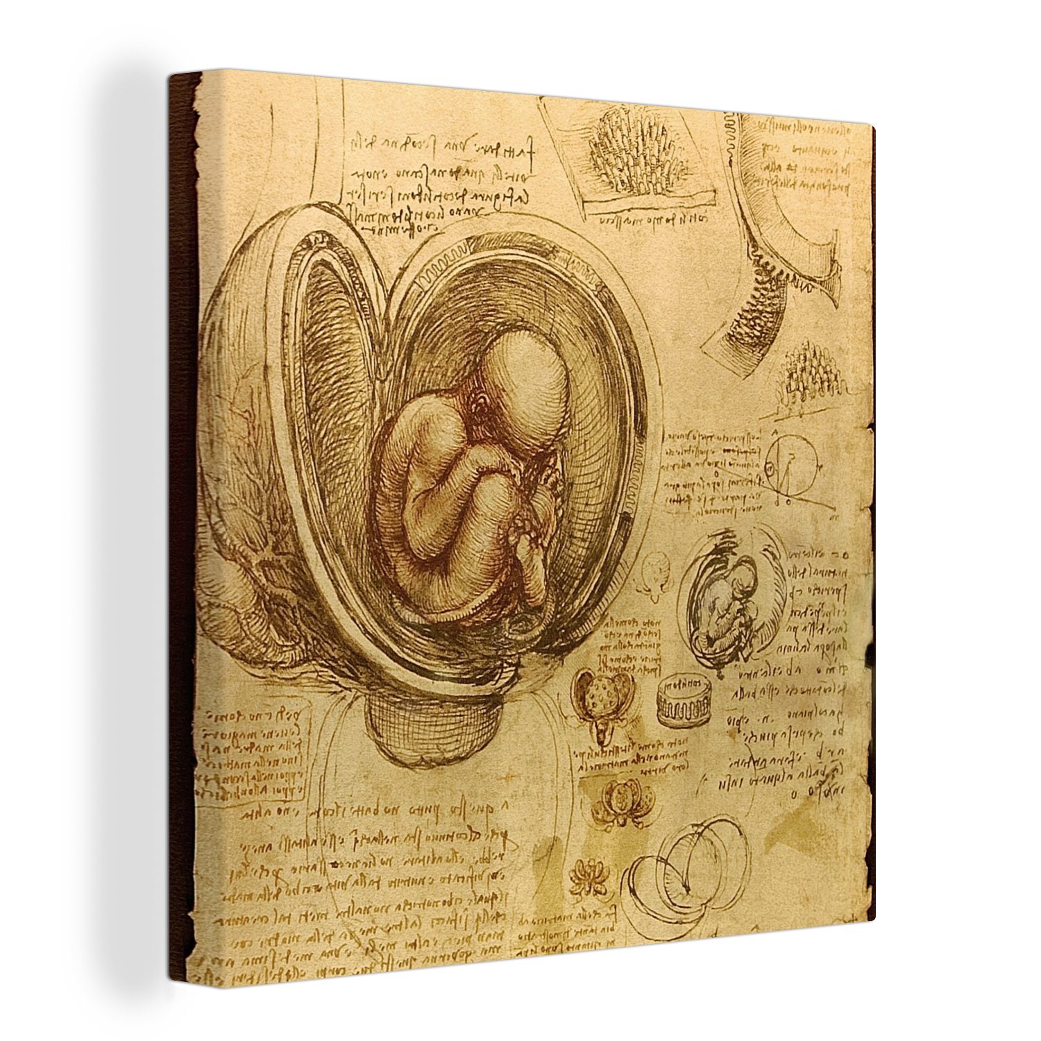 OneMillionCanvasses® Leinwandbild Baby im Mutterleib - Leonardo da Vinci, (1 St), Leinwand Bilder für Wohnzimmer Schlafzimmer