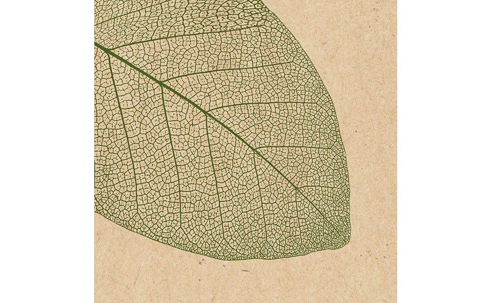 Braun+Company Atelier Stoffserviette Braun & Company Servietten natur 33 x 33 cm - 20er