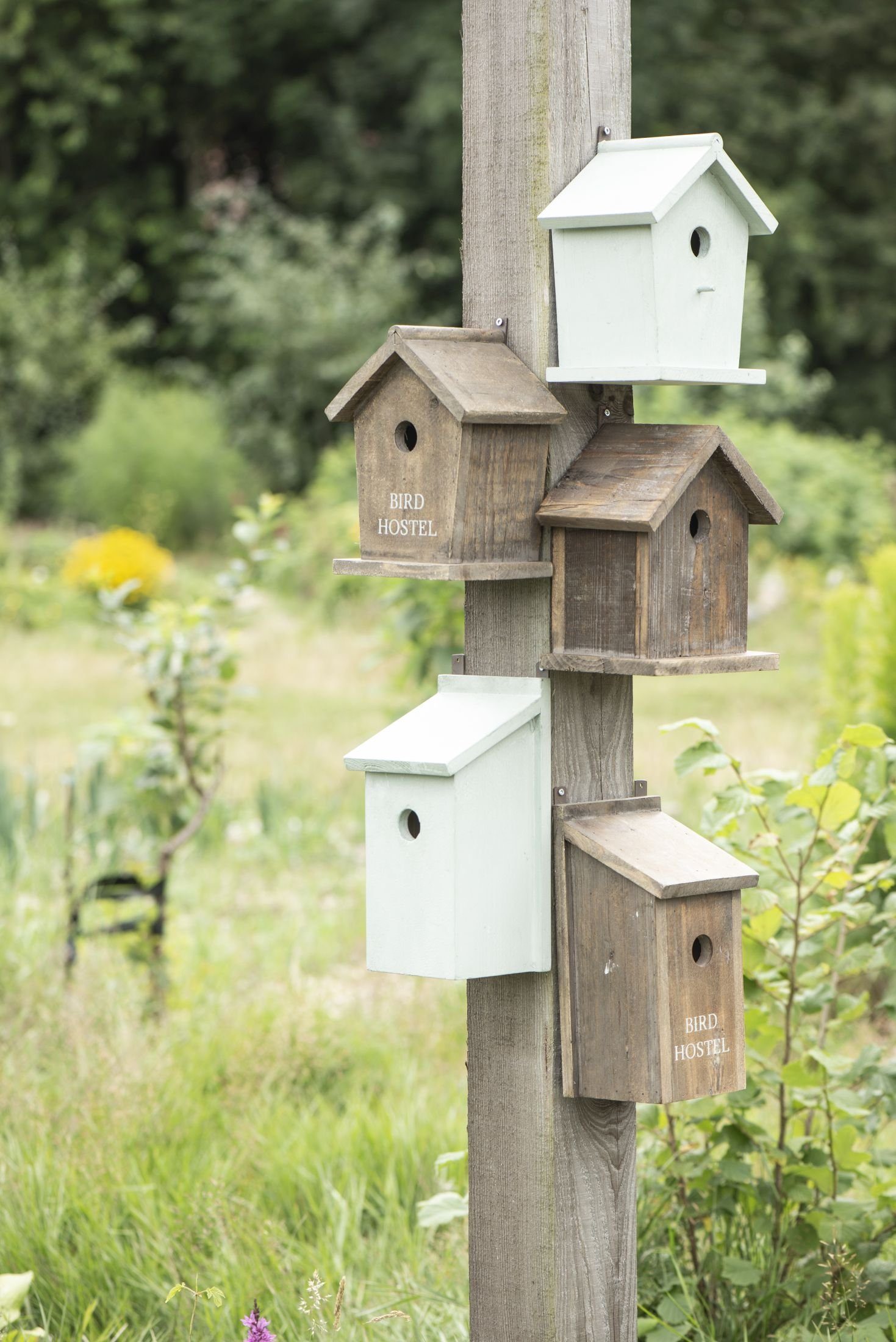 Loch Nistkasten Laursen Vogelhaus cm Ib 3 Ib Pastellgrün Durchmesser Holz Vogelhaus