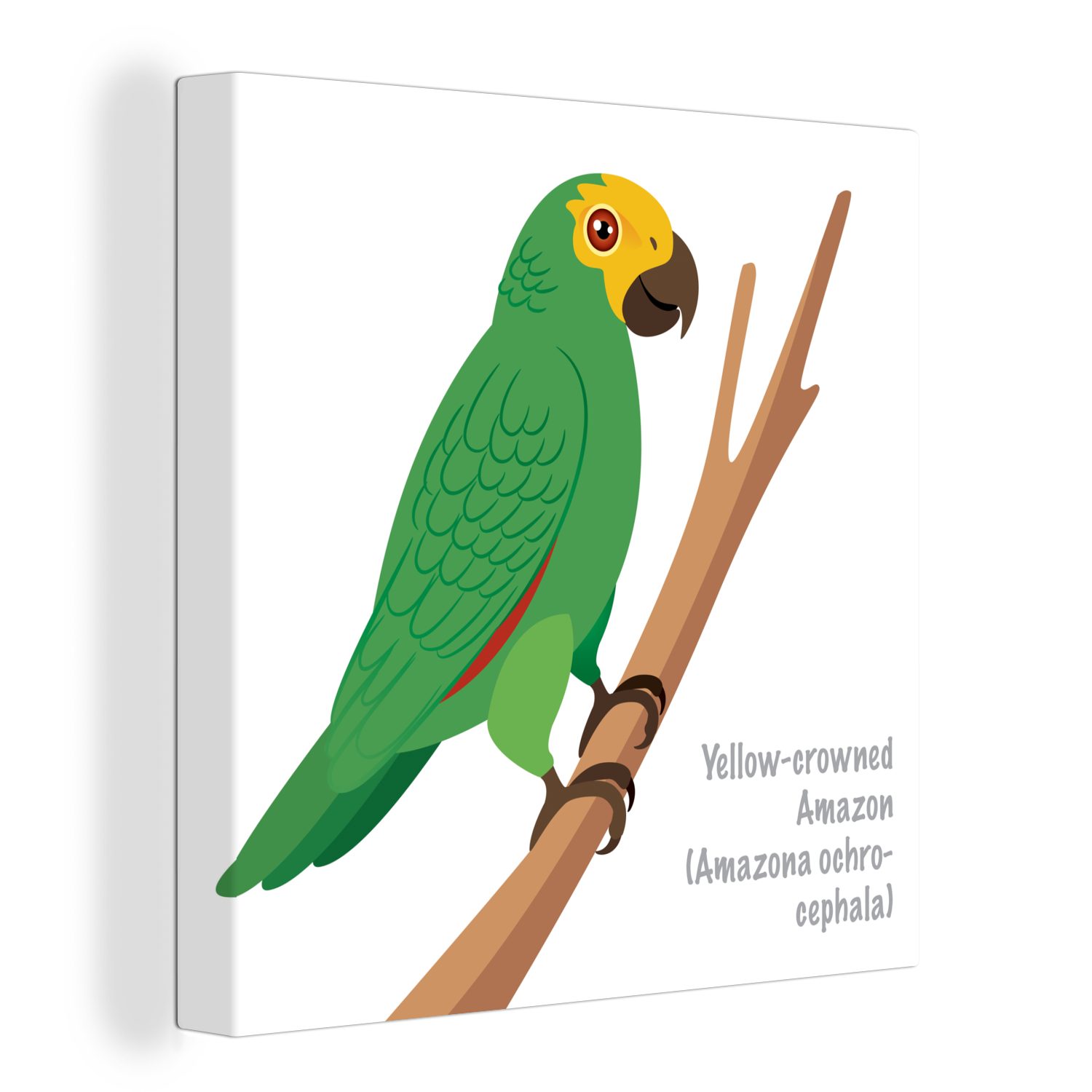 OneMillionCanvasses® Leinwandbild Eine Illustration eines grünen Papageis, (1 St), Leinwand Bilder für Wohnzimmer Schlafzimmer
