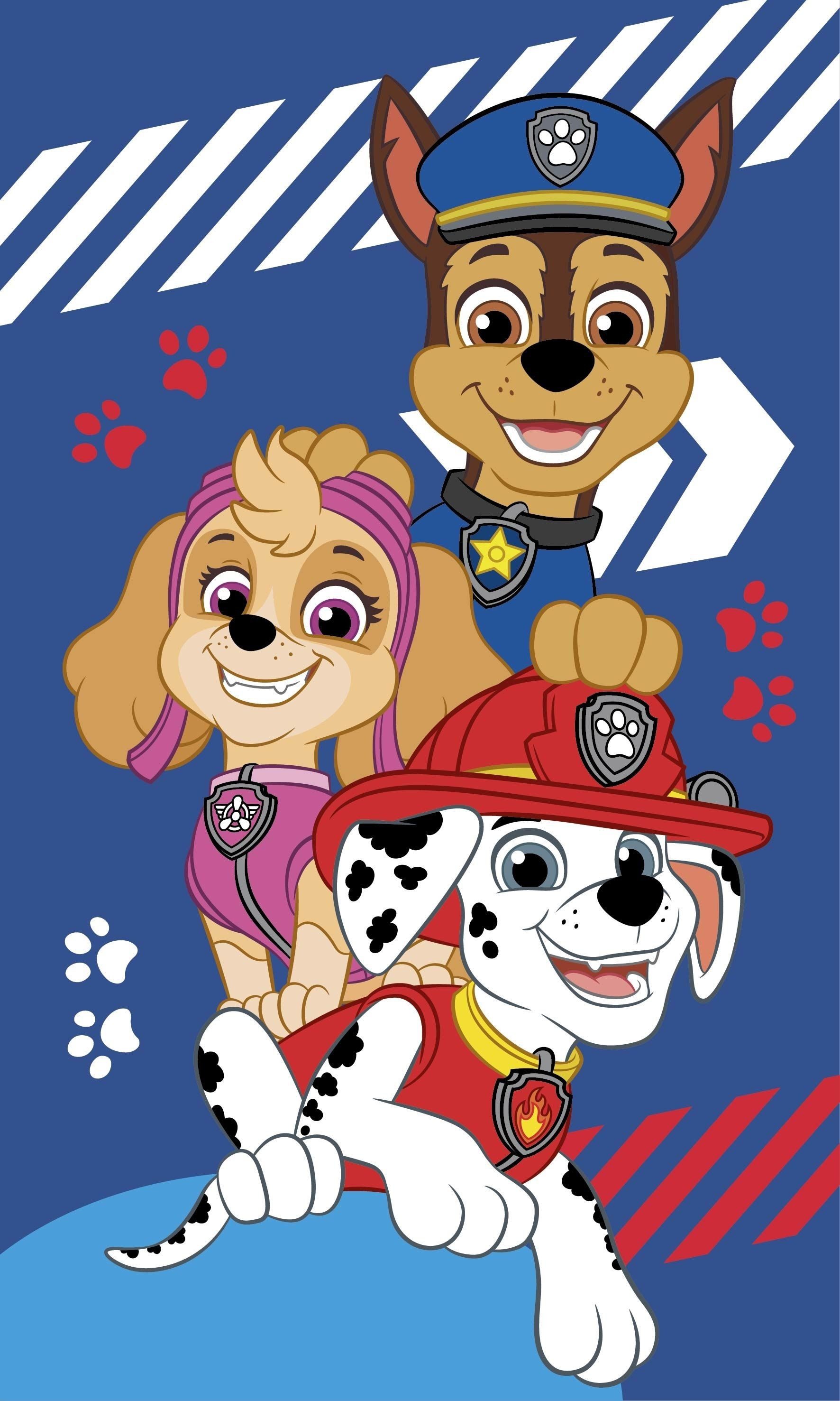 PAW PATROL Handtuch Handtuch 100% Baumwolle, günstig online kaufen