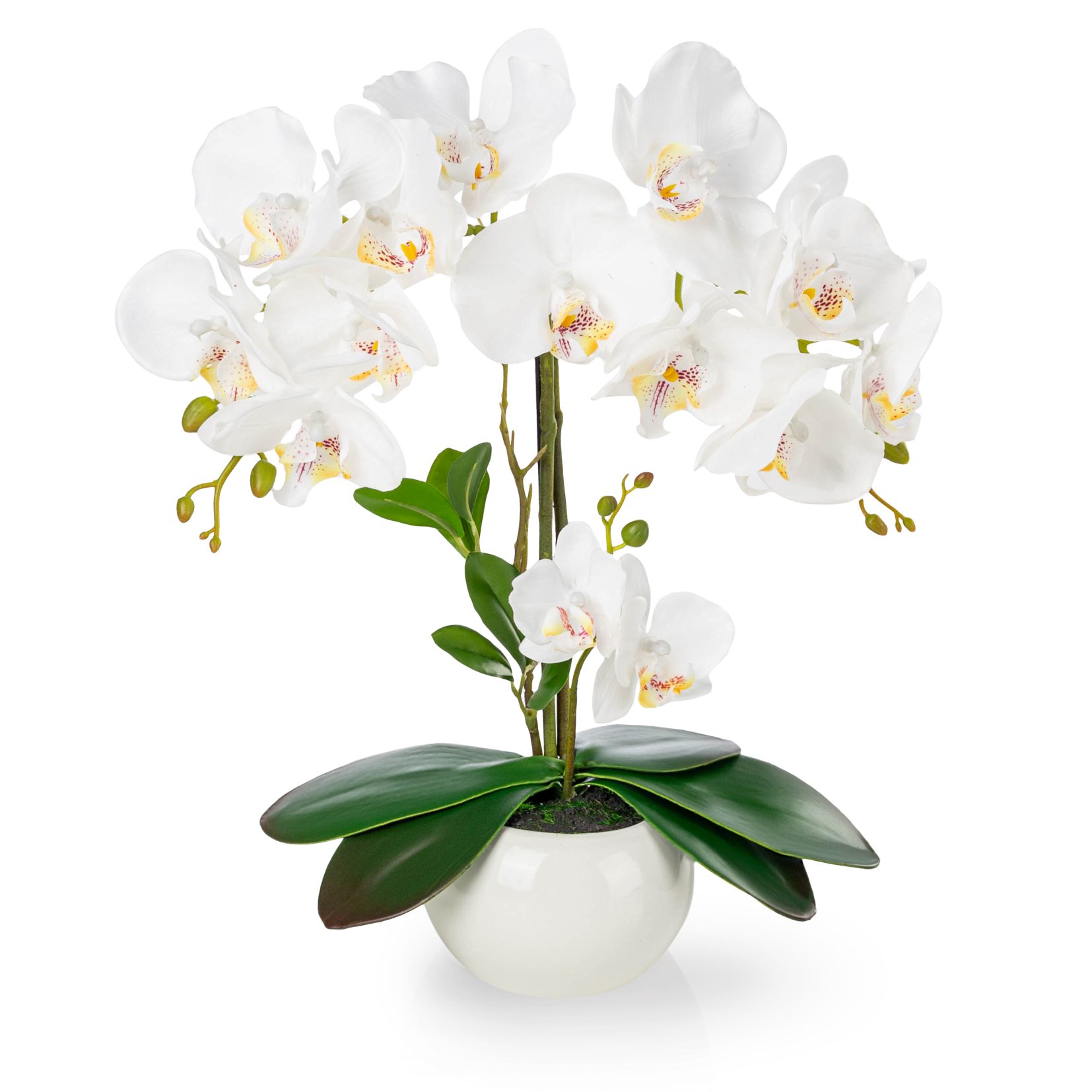 Kunstorchidee PASCH® Orchidee künstlich wie echt (40cm) in Hochglanz-Keramiktopf Orchidee, PASCH