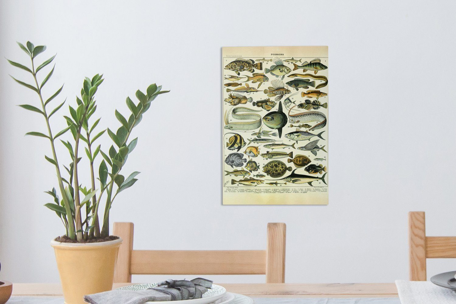 Adolphe 20x30 St), OneMillionCanvasses® Millot inkl. Fische Vintage bespannt Tiere, - fertig cm - - - Leinwandbild Gemälde, Kunst (1 Zackenaufhänger, Leinwandbild