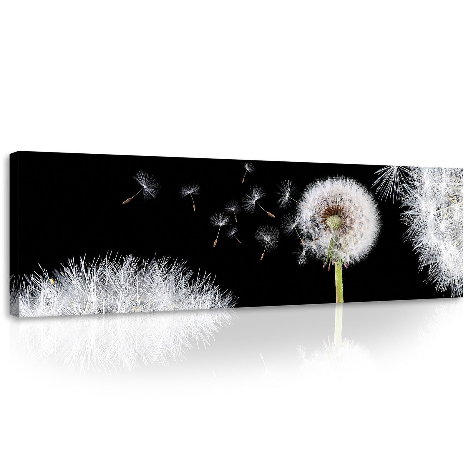 Wallarena Leinwandbild Wohnzimmer Schlafzimmer Bilder Leinwandbilder günstig online kaufen