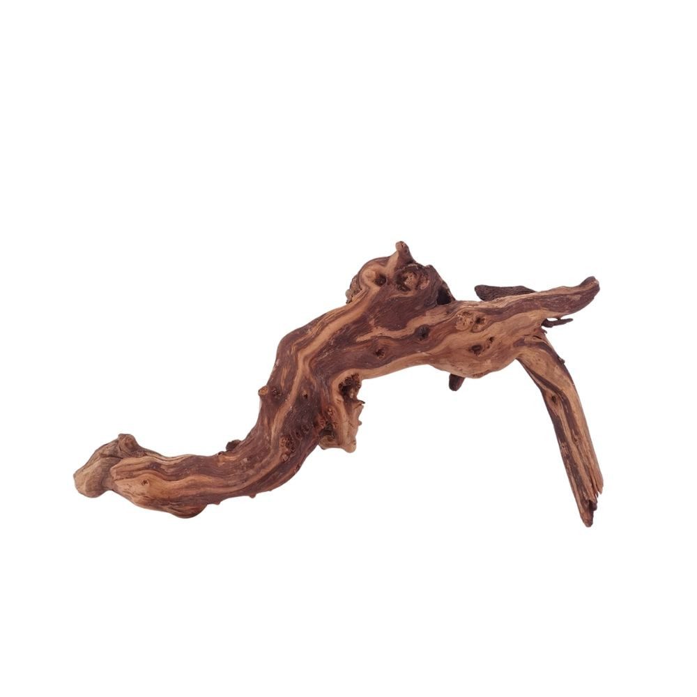 Aquaone Aquarium L Mopani Wurzel Nr.4700 Holz Deko Aquascaping