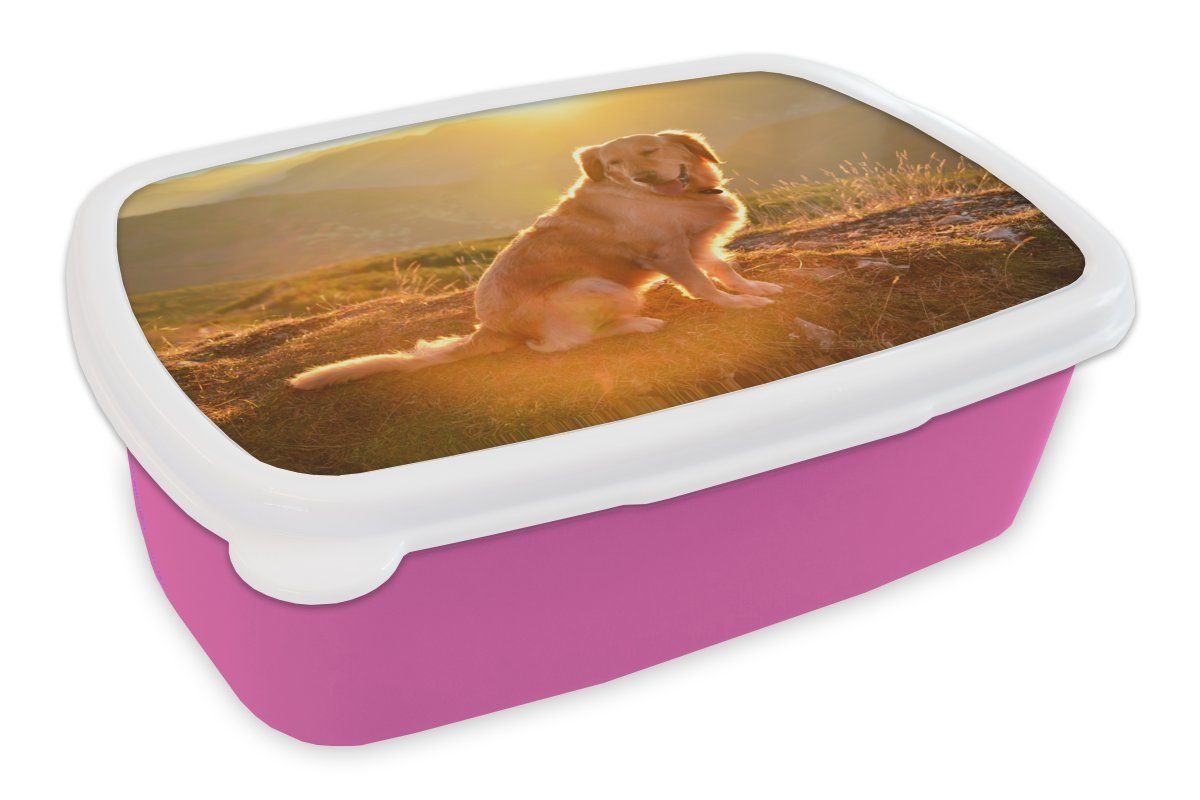 MuchoWow Lunchbox Sonnenstrahlen glänzen über einem Golden Retriever, Kunststoff, (2-tlg), Brotbox für Erwachsene, Brotdose Kinder, Snackbox, Mädchen, Kunststoff rosa